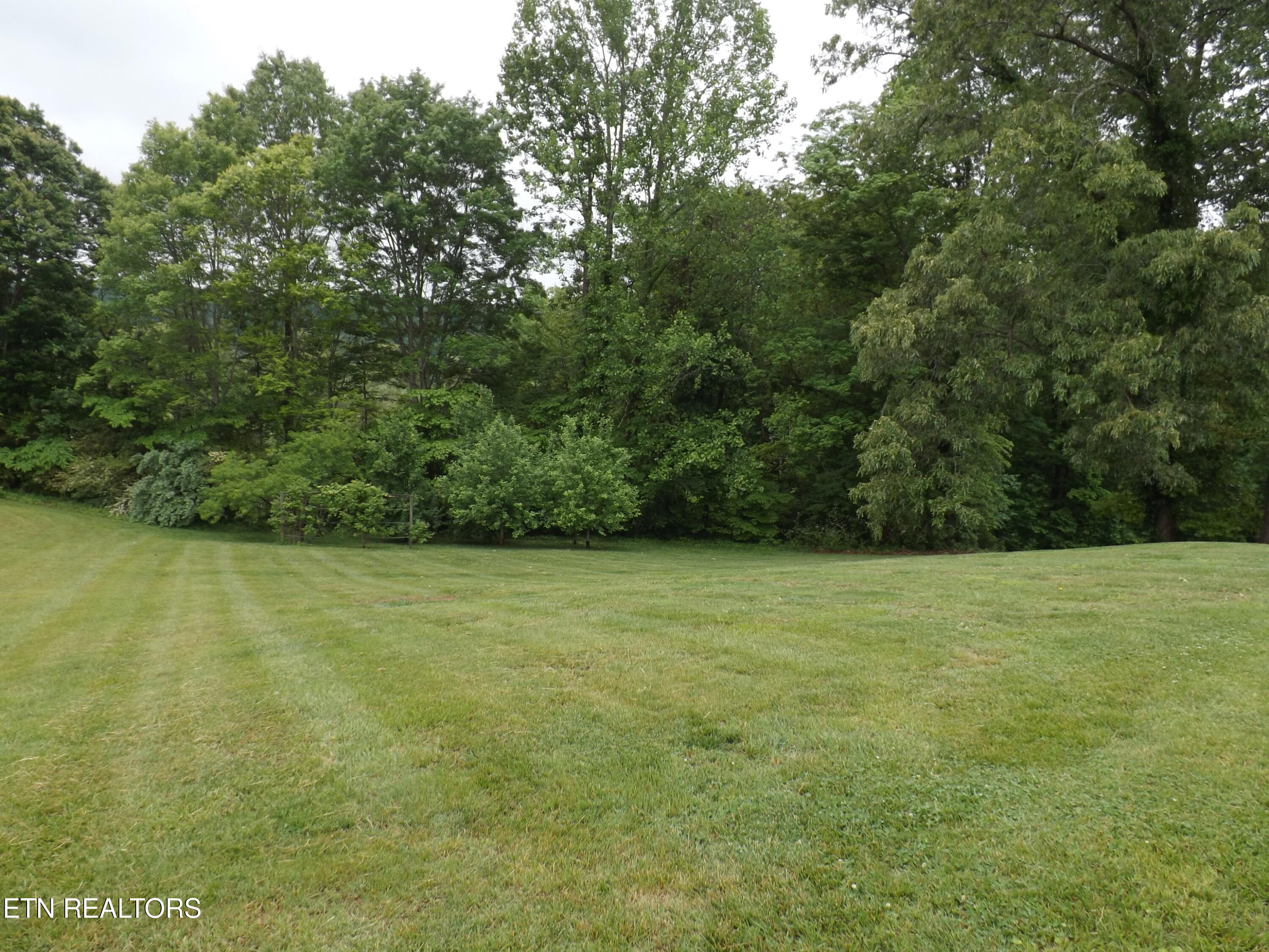 236 Baxter Drive New Tazewell TN 37825