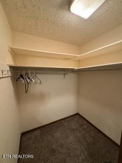3215 Butler Street Pigeon Forge TN 37863