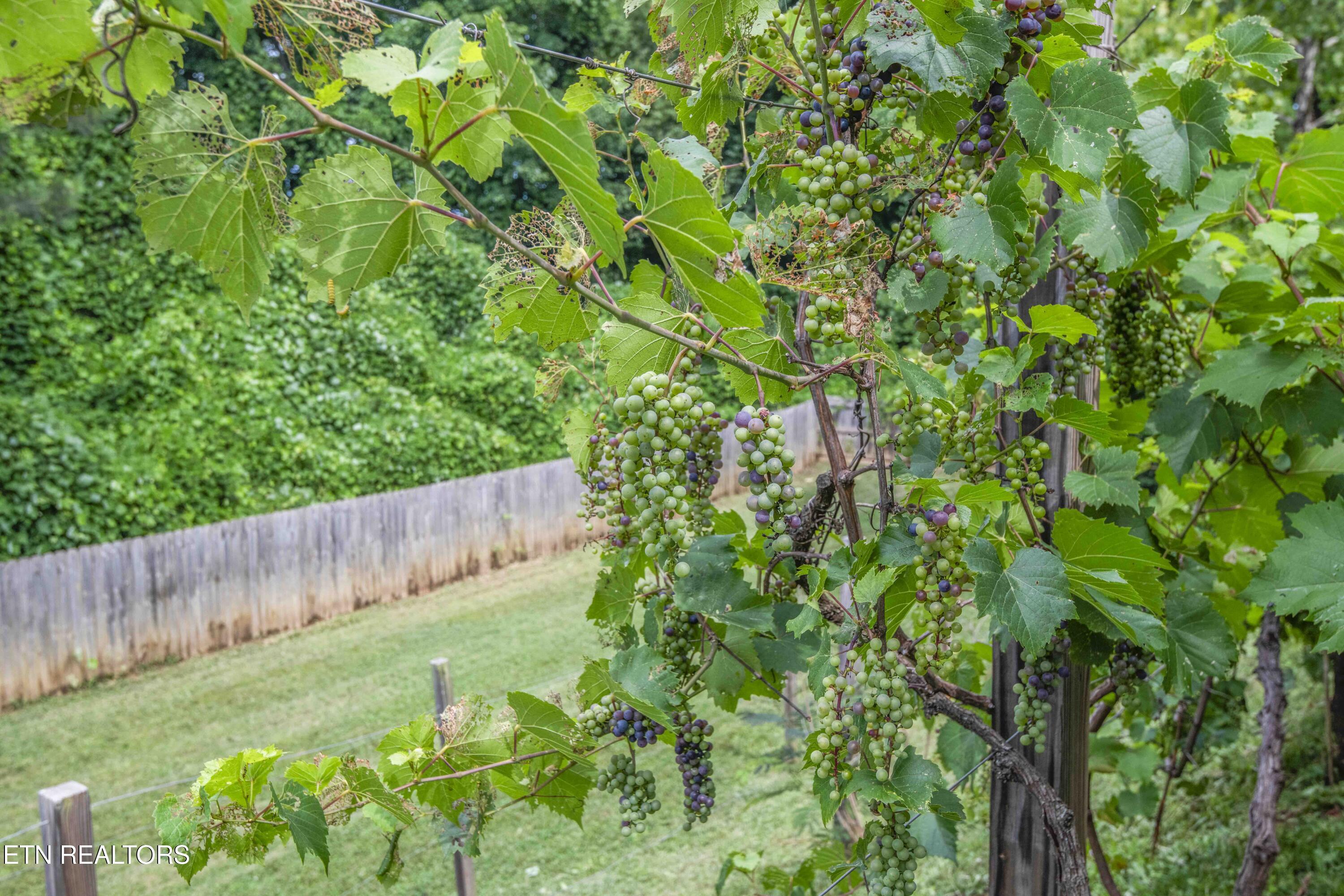 2000 Country Brook Lane Knoxville TN 37921