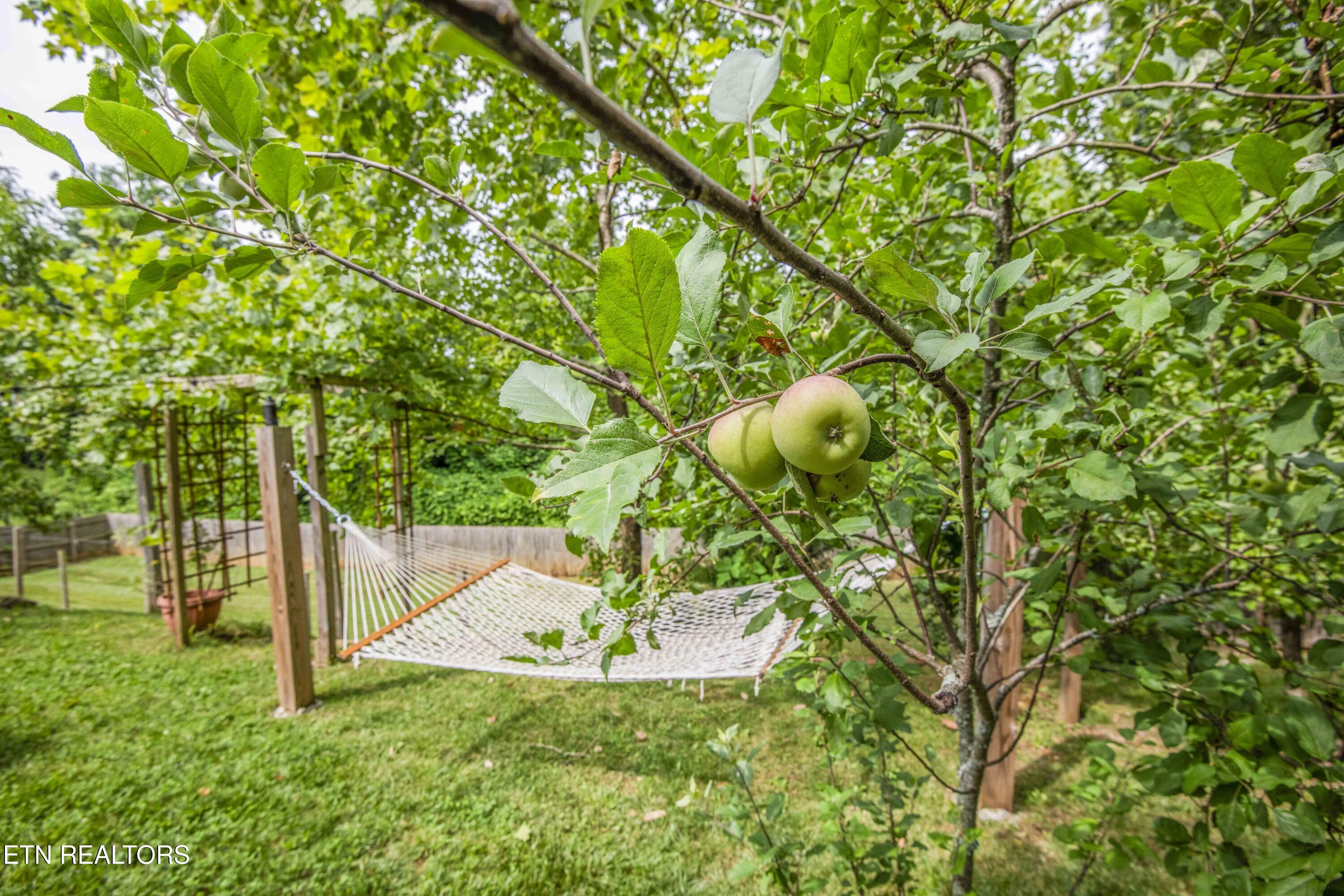 2000 Country Brook Lane Knoxville TN 37921
