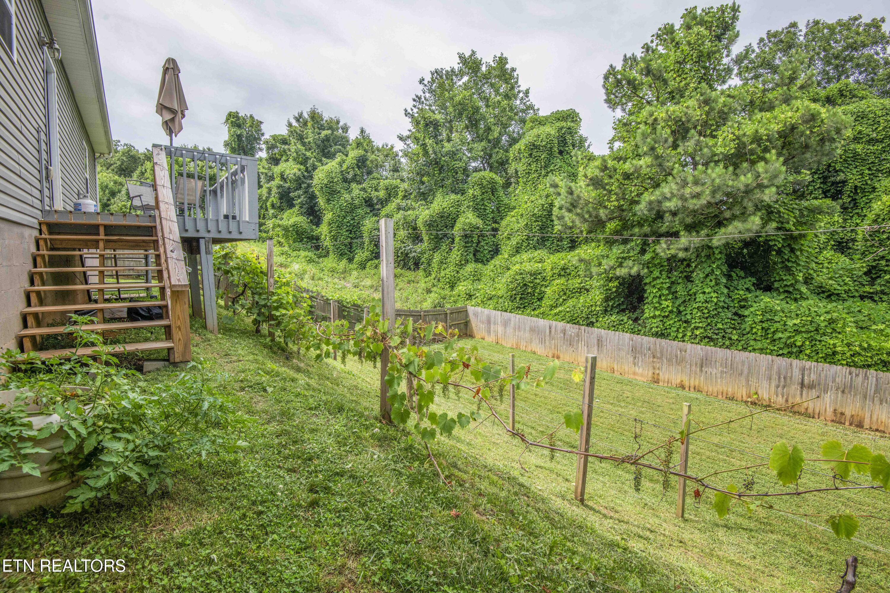 2000 Country Brook Lane Knoxville TN 37921