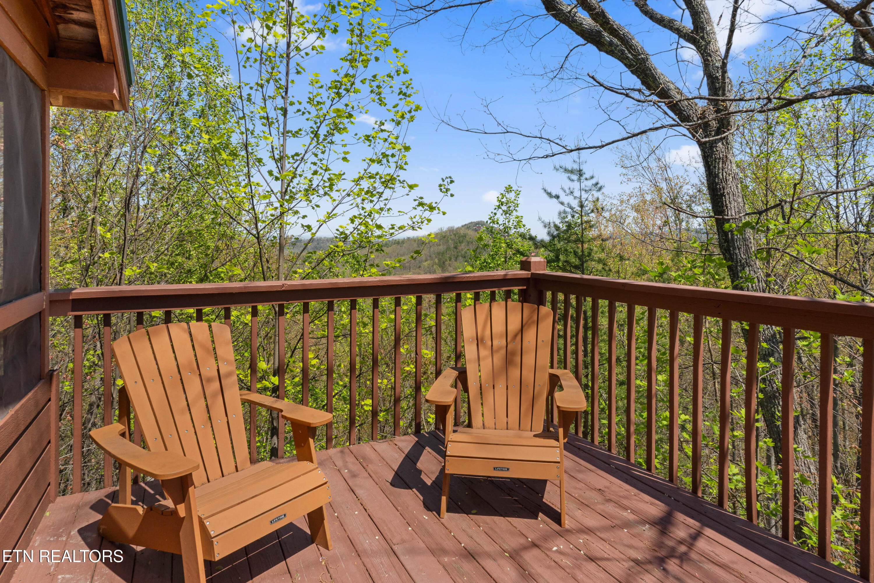 4388 Carolina Cove Way Pigeon Forge TN 37863