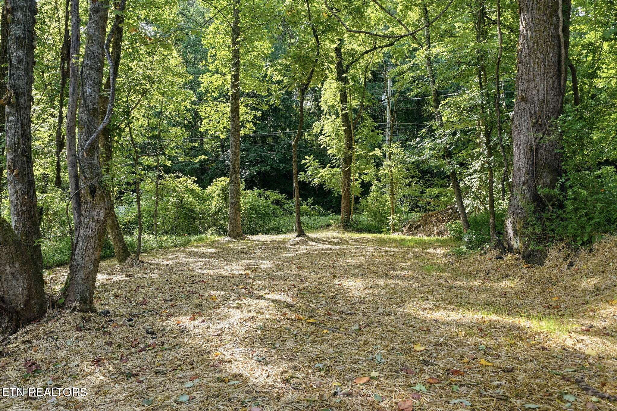 687 Hen Valley Road Oliver Springs TN 37840