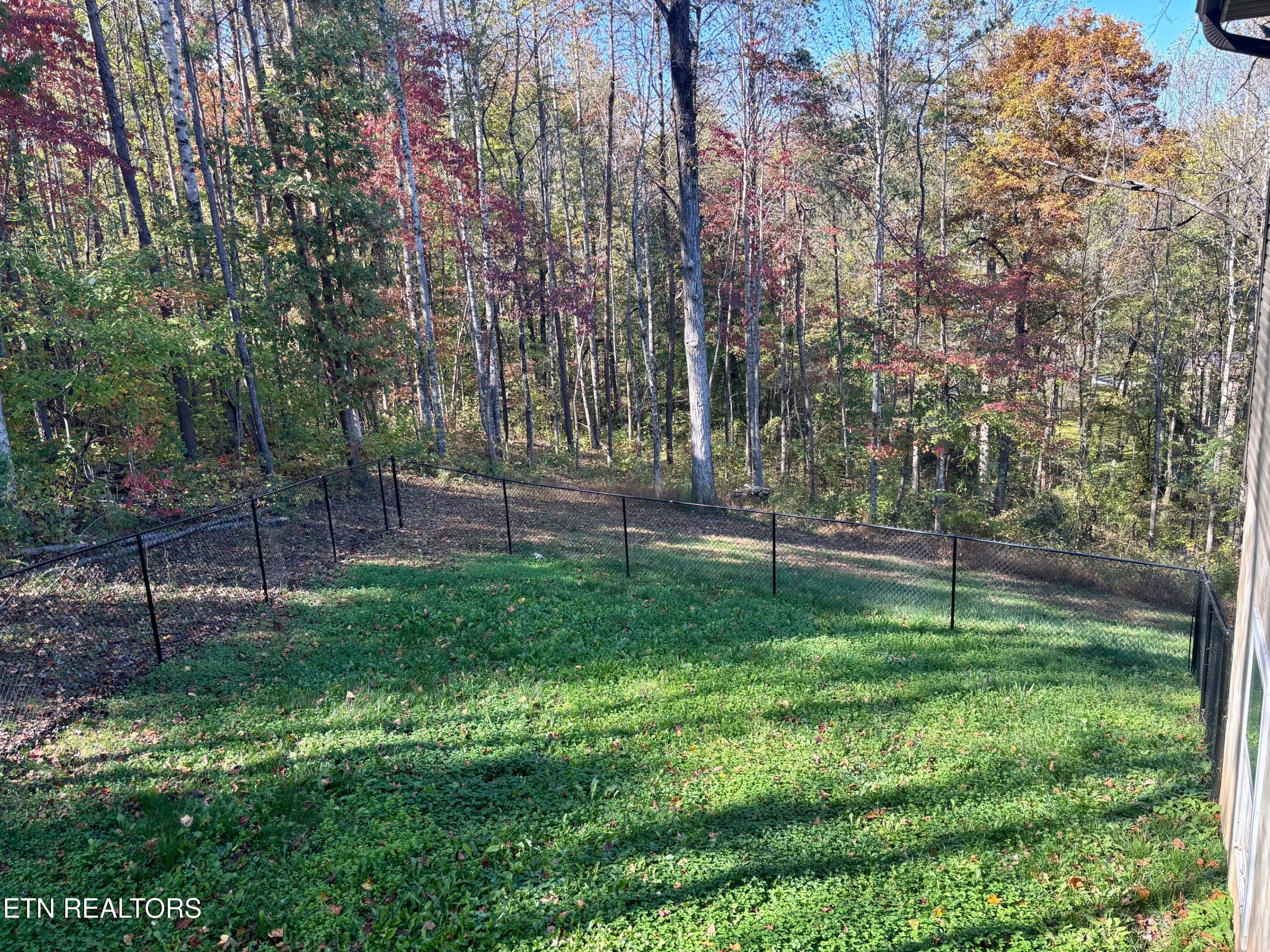 329 Branch Lane Clinton TN 37716