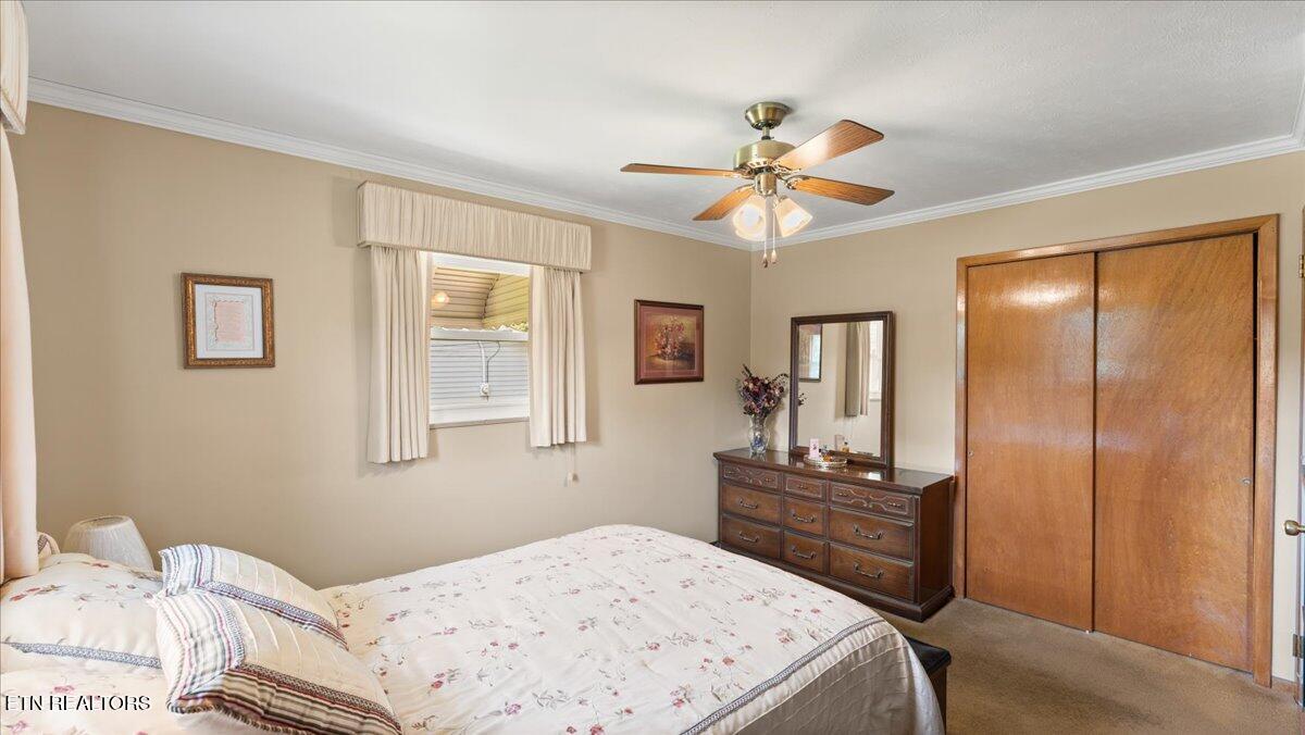 4309 Lonor Drive Knoxville TN 37918