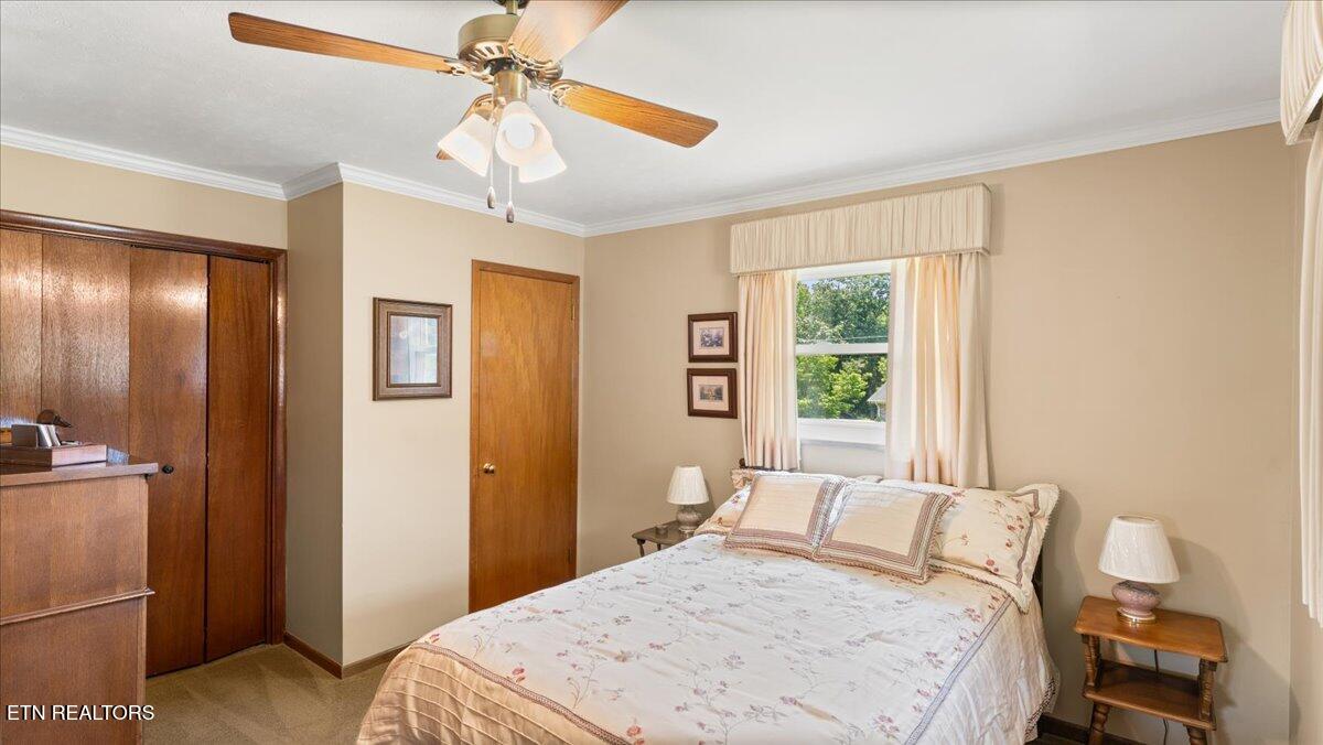 4309 Lonor Drive Knoxville TN 37918
