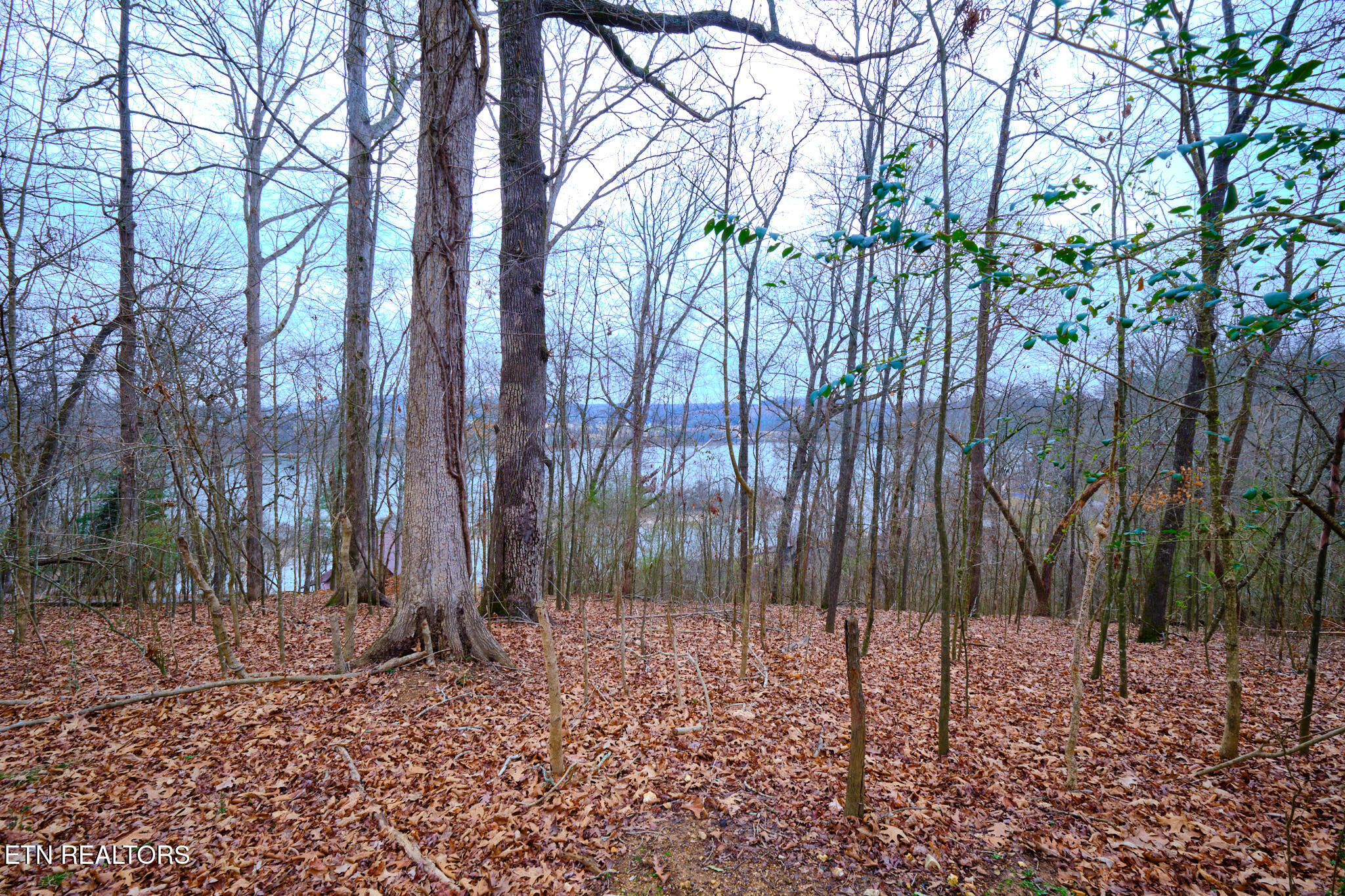 212 Shady Trail Drive Kingston TN 37763