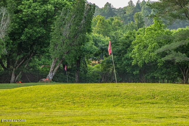518 Flamingo Circle Townsend TN 37882
