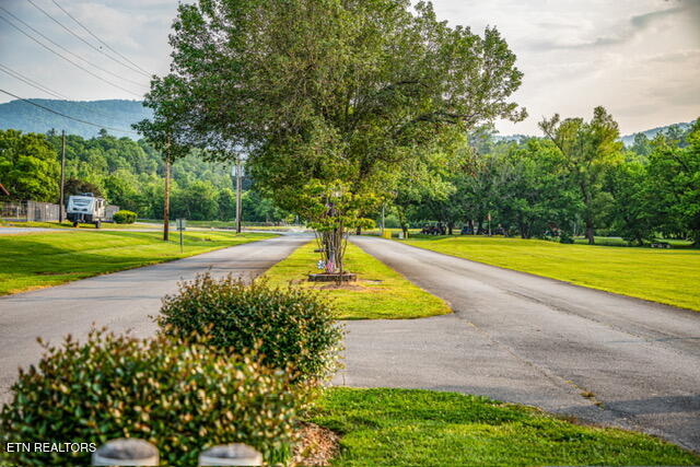 518 Flamingo Circle Townsend TN 37882