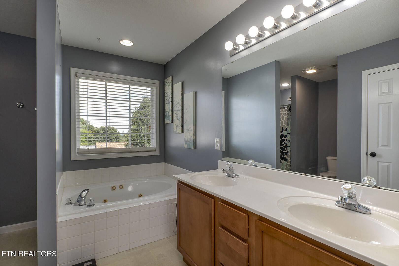 2114 Blue Sage Lane Knoxville TN 37924