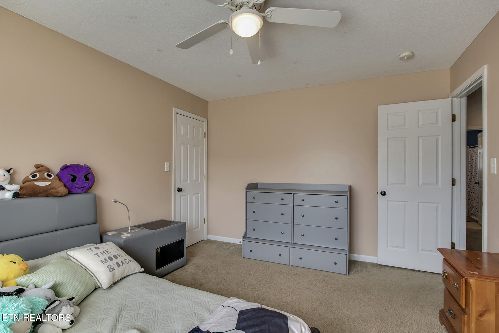 2114 Blue Sage Lane Knoxville TN 37924