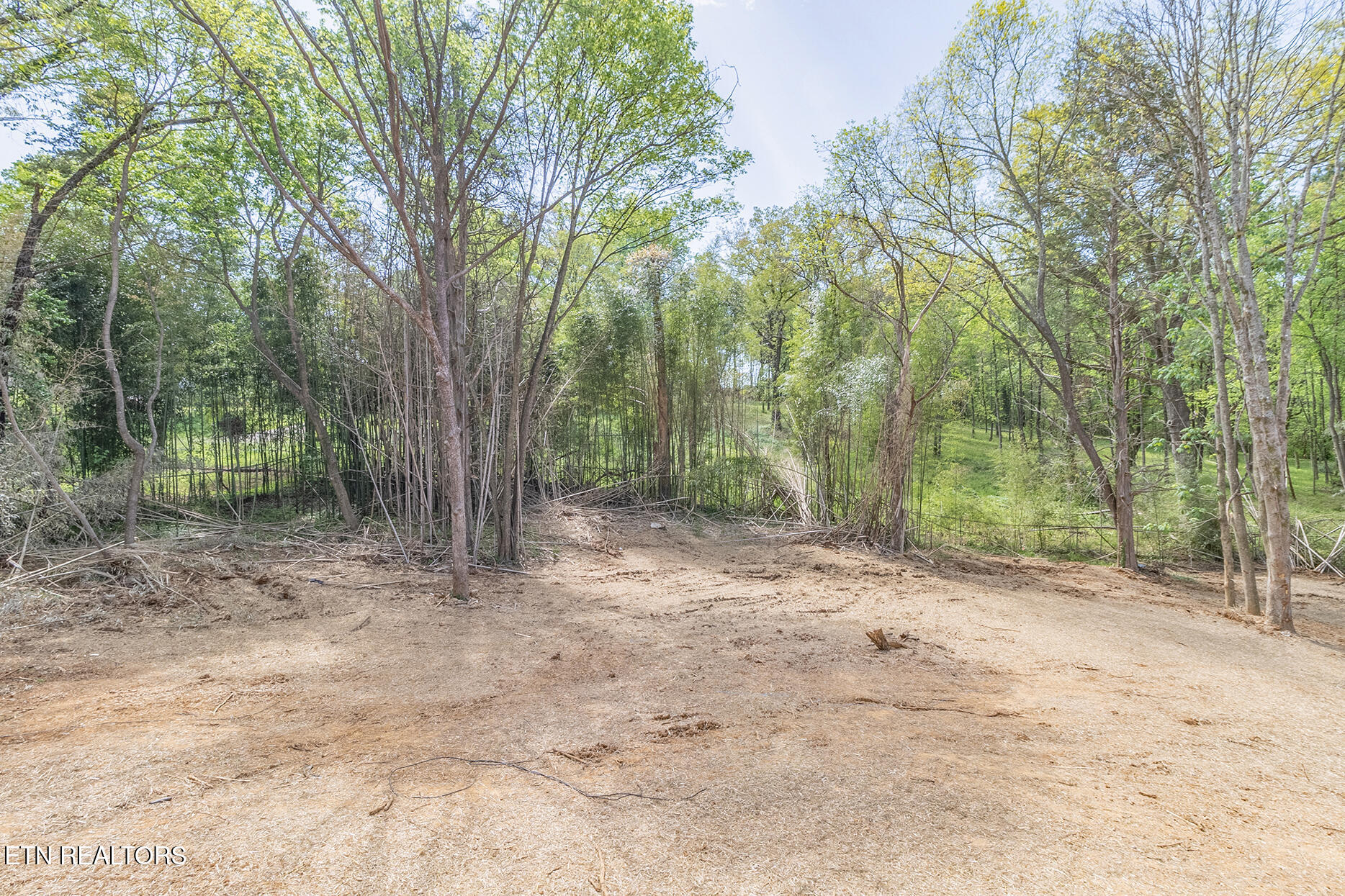 517 Smokey Drive Loudon TN 37774