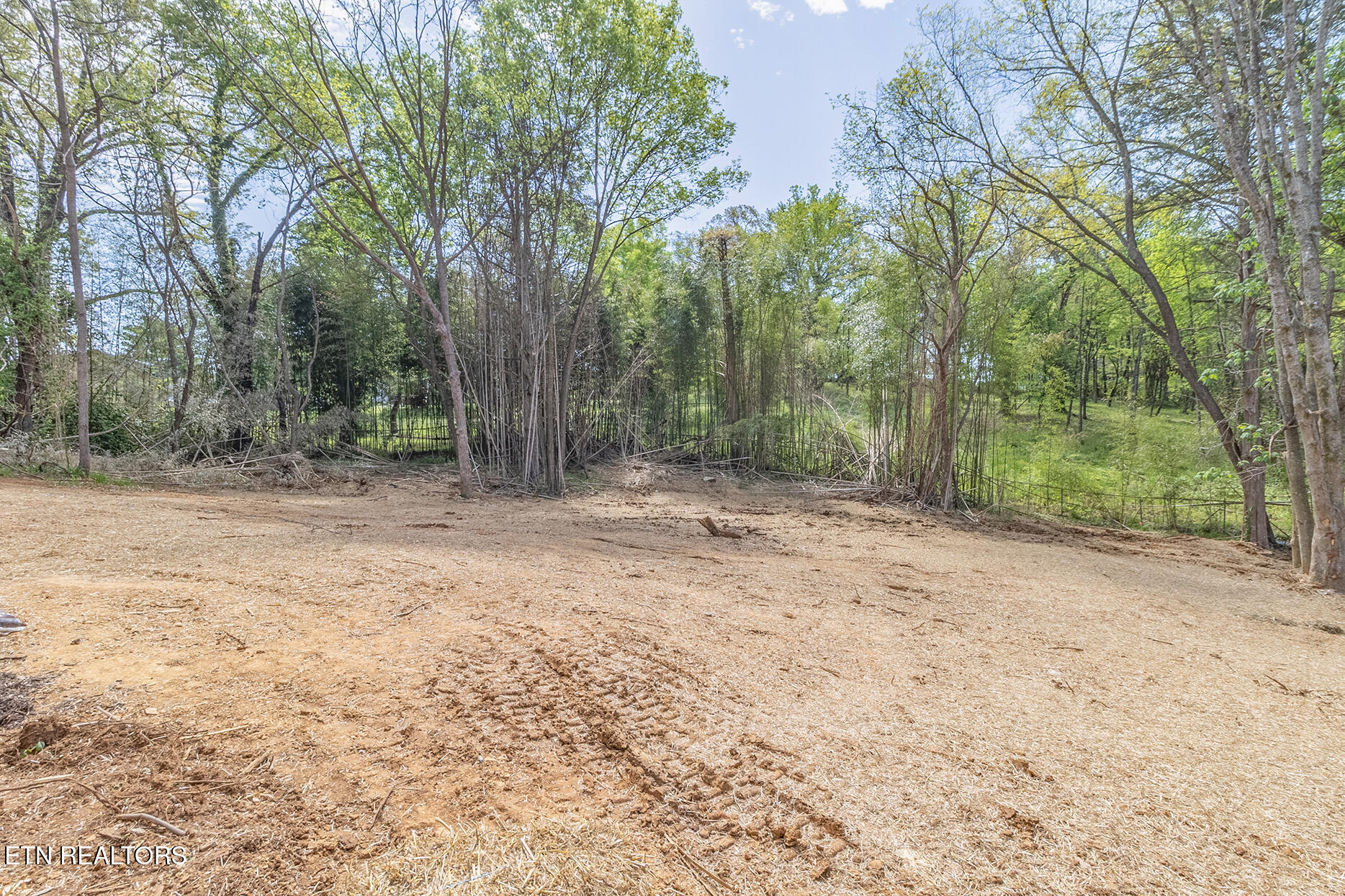 517 Smokey Drive Loudon TN 37774