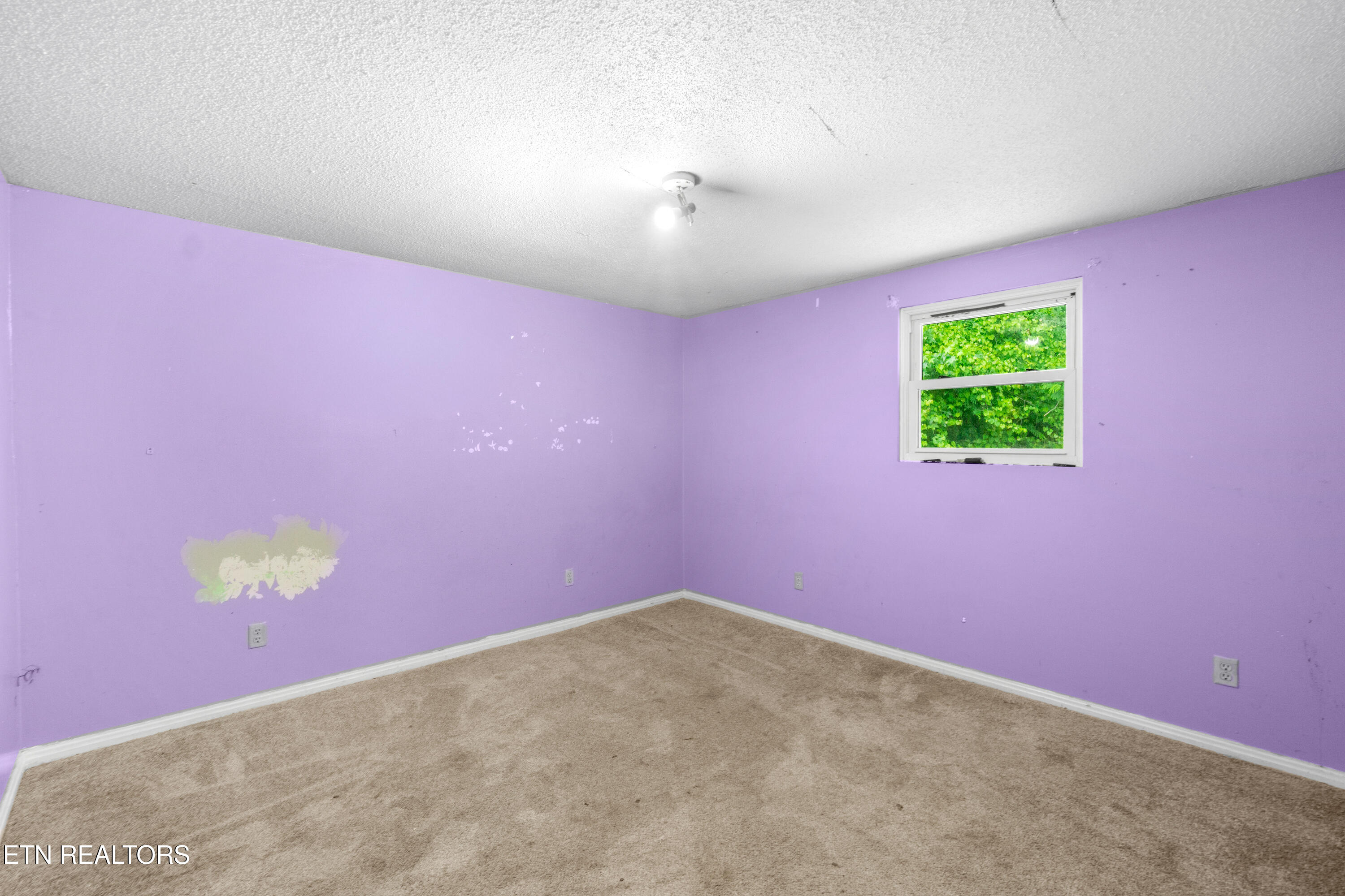 1224 Mountain View Circle Etowah TN 37331