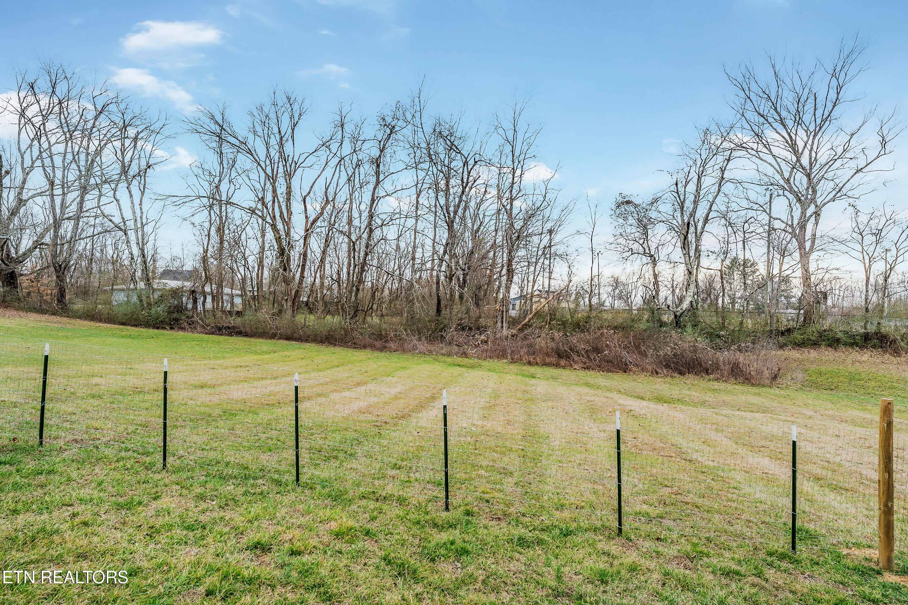 260 Celeste Drive Baxter TN 38544