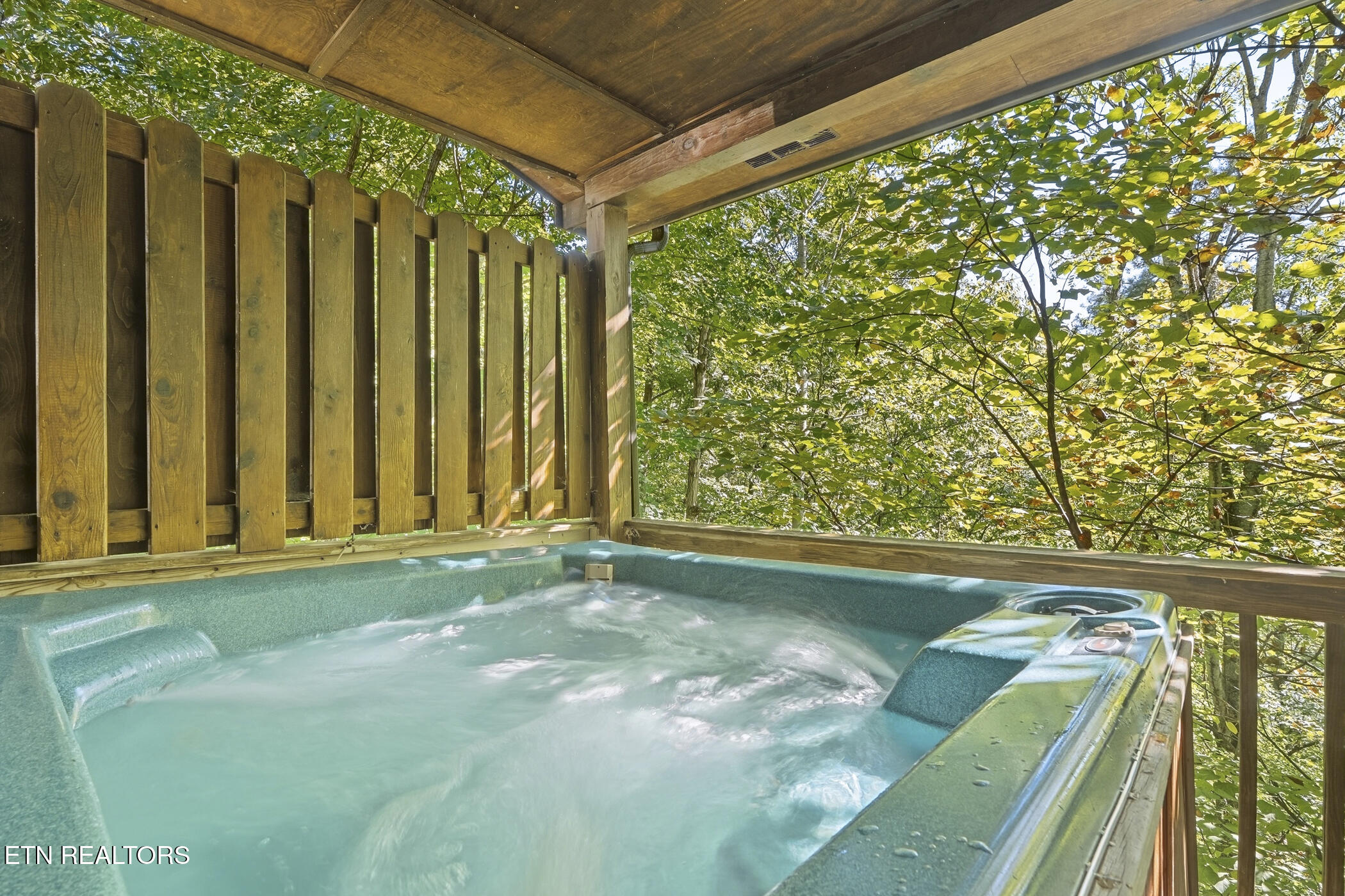 1660 Raccoon Den Way Sevierville TN 37862
