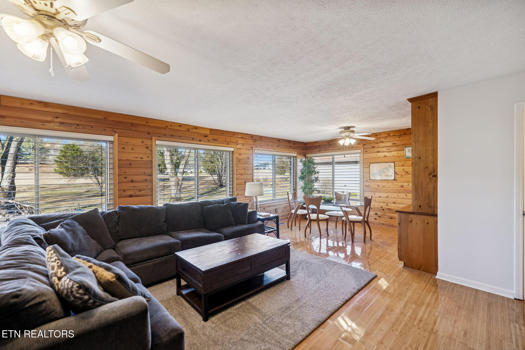 3576 E Atherton Lane Baneberry TN 37890