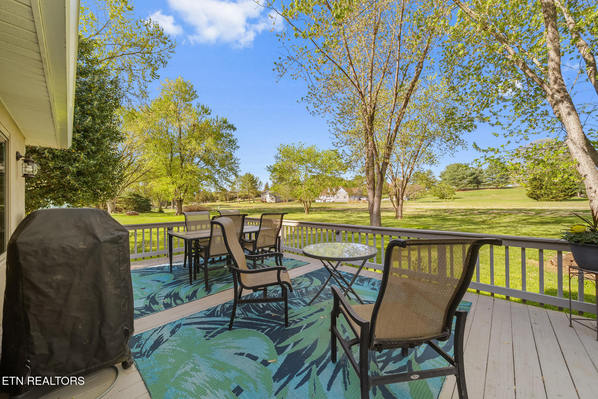 3576 E Atherton Lane Baneberry TN 37890