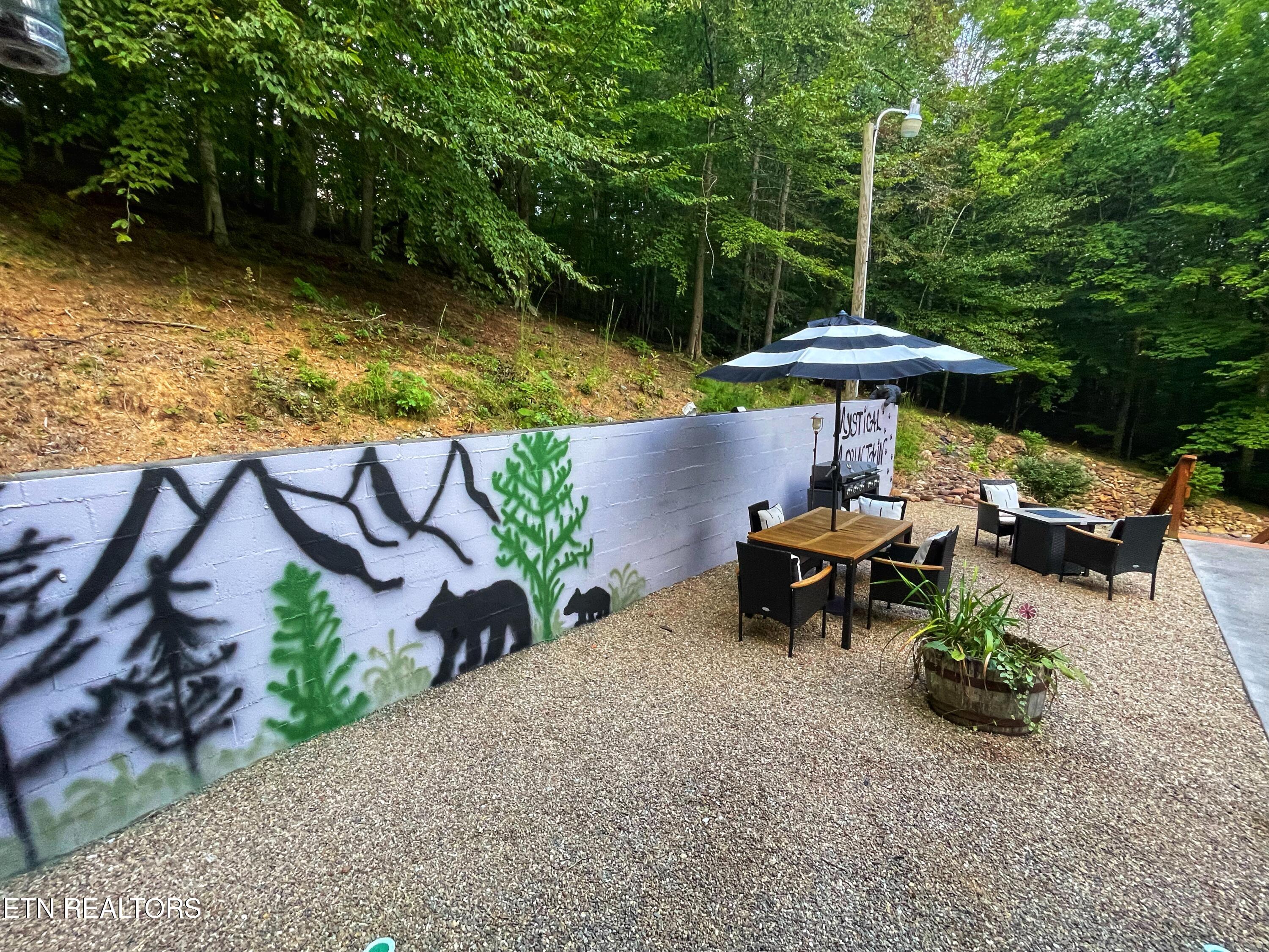 3587 Mountain Creek Way Cosby TN 37722