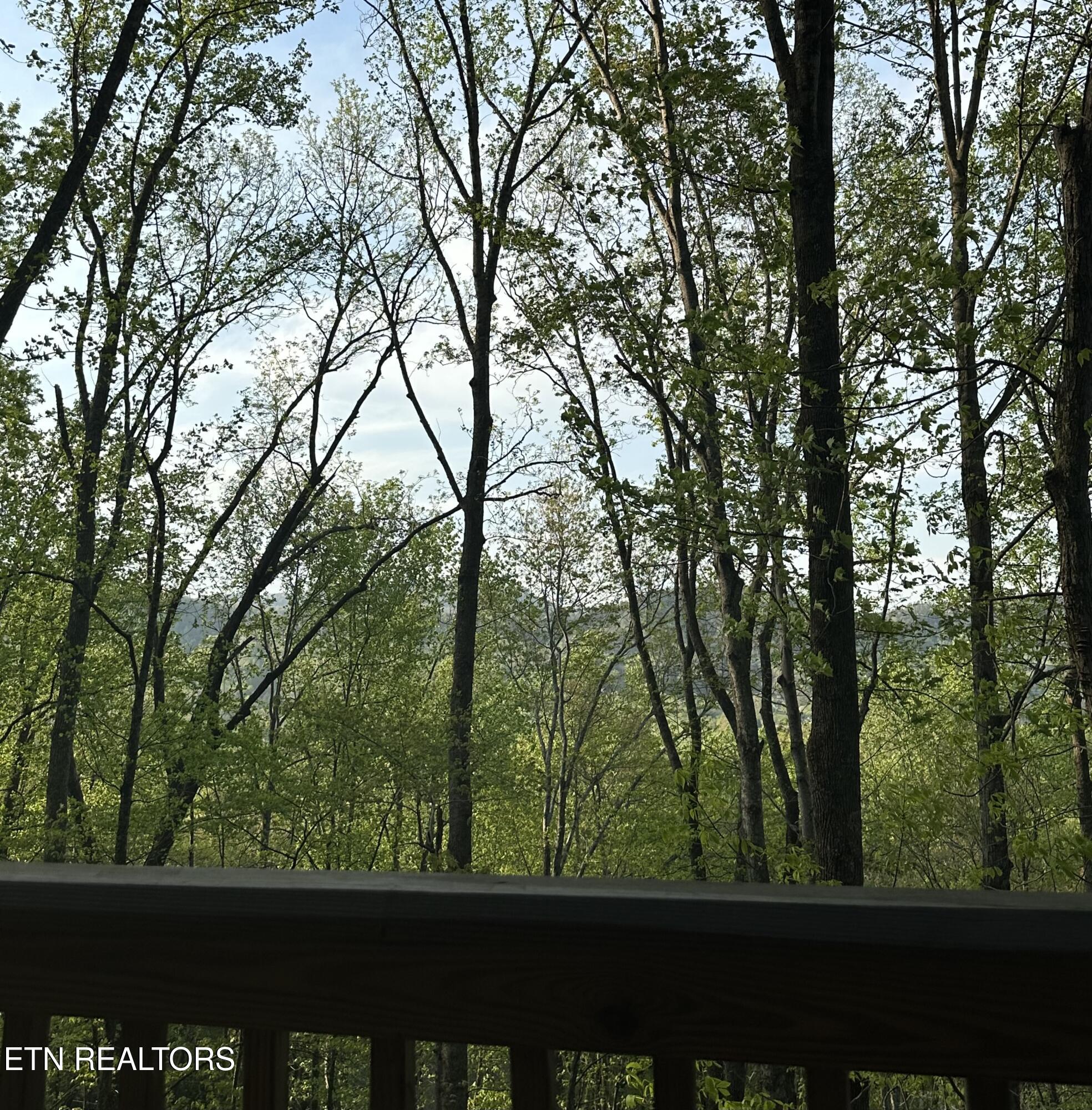 4080 Ole Smoky Way Sevierville TN 37862