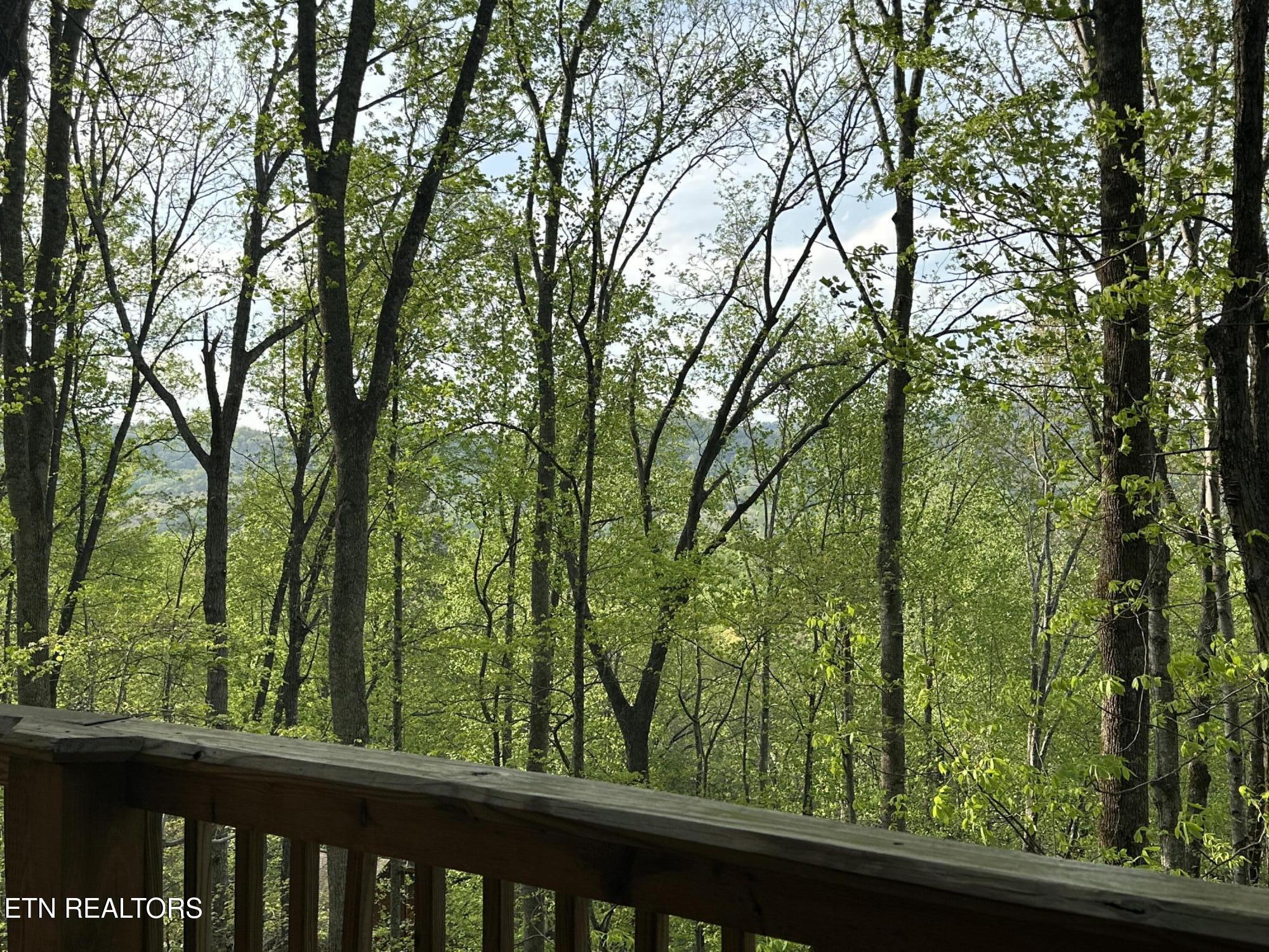 4080 Ole Smoky Way Sevierville TN 37862