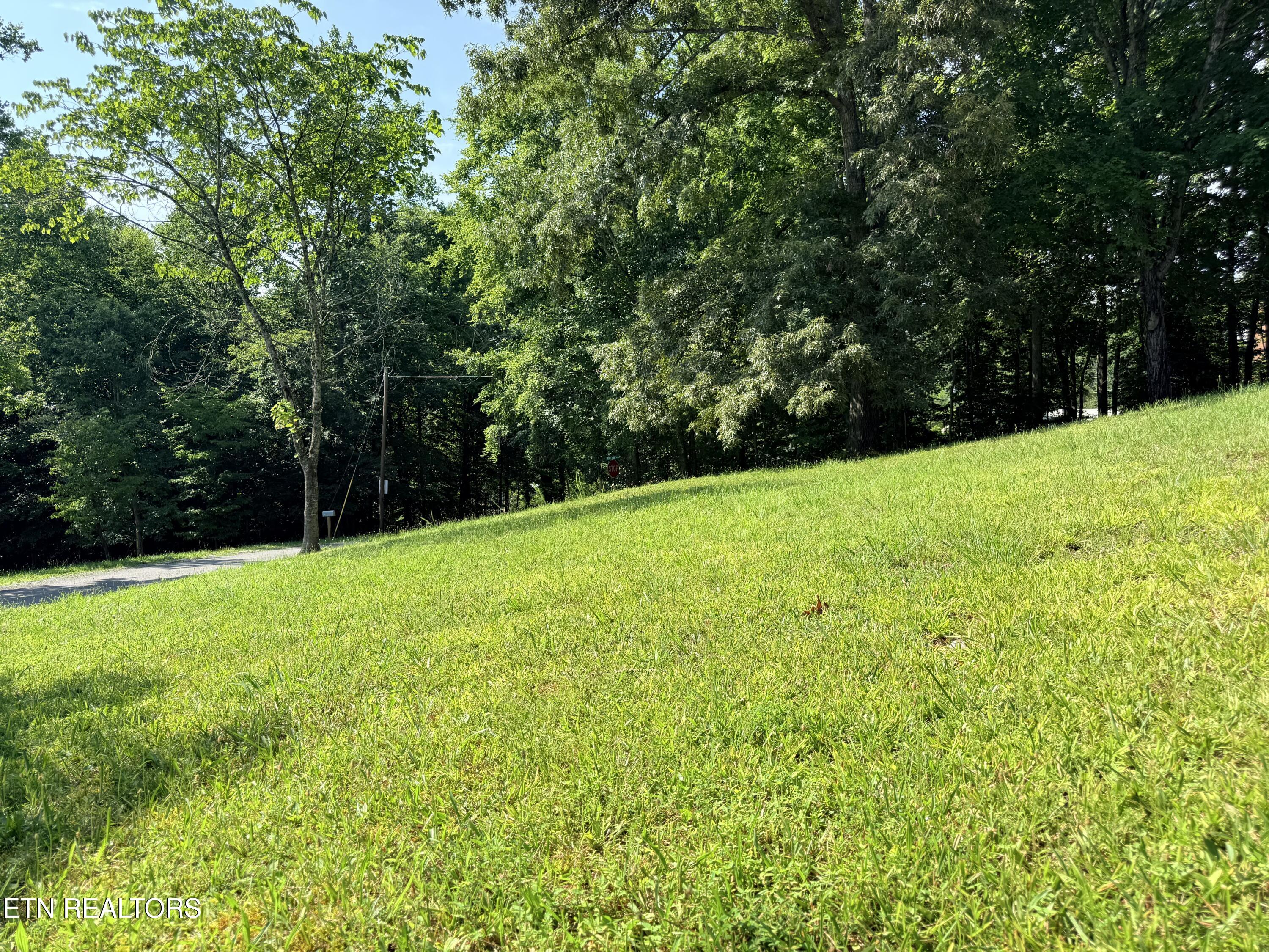 445 Deer Trail Circle New Tazewell TN 37825