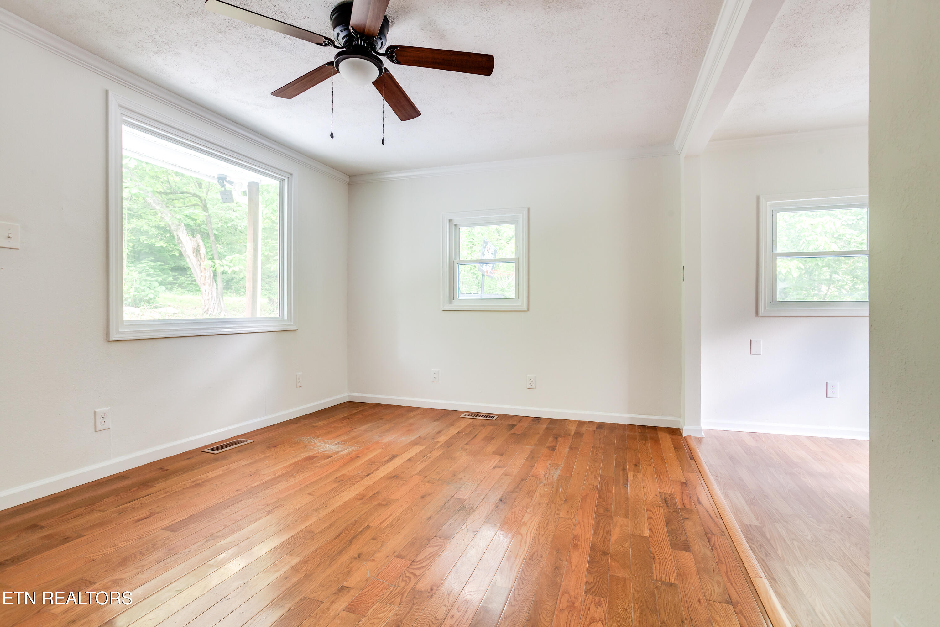 601 Carrie Circle Strawberry Plains TN 37871