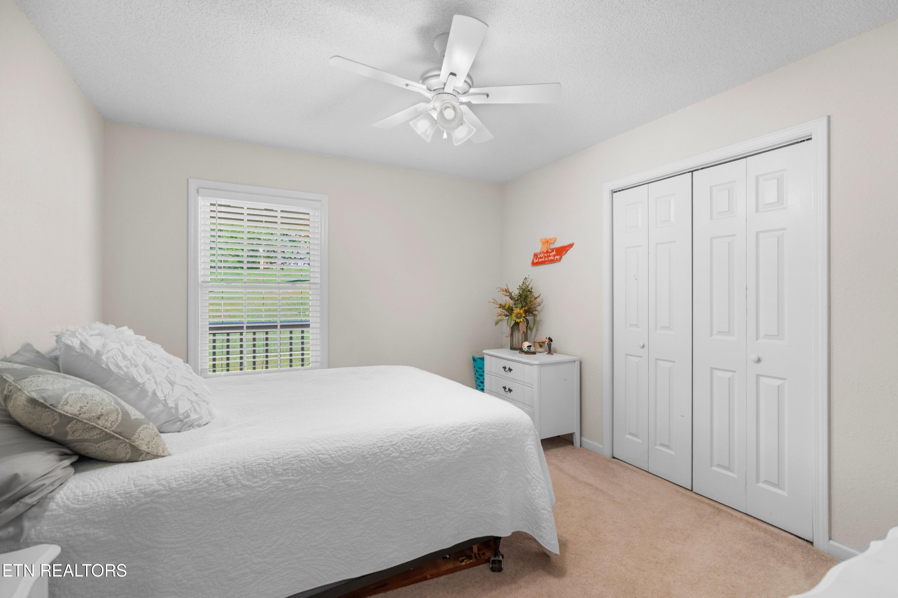 2433 Green Road Cosby TN 37722