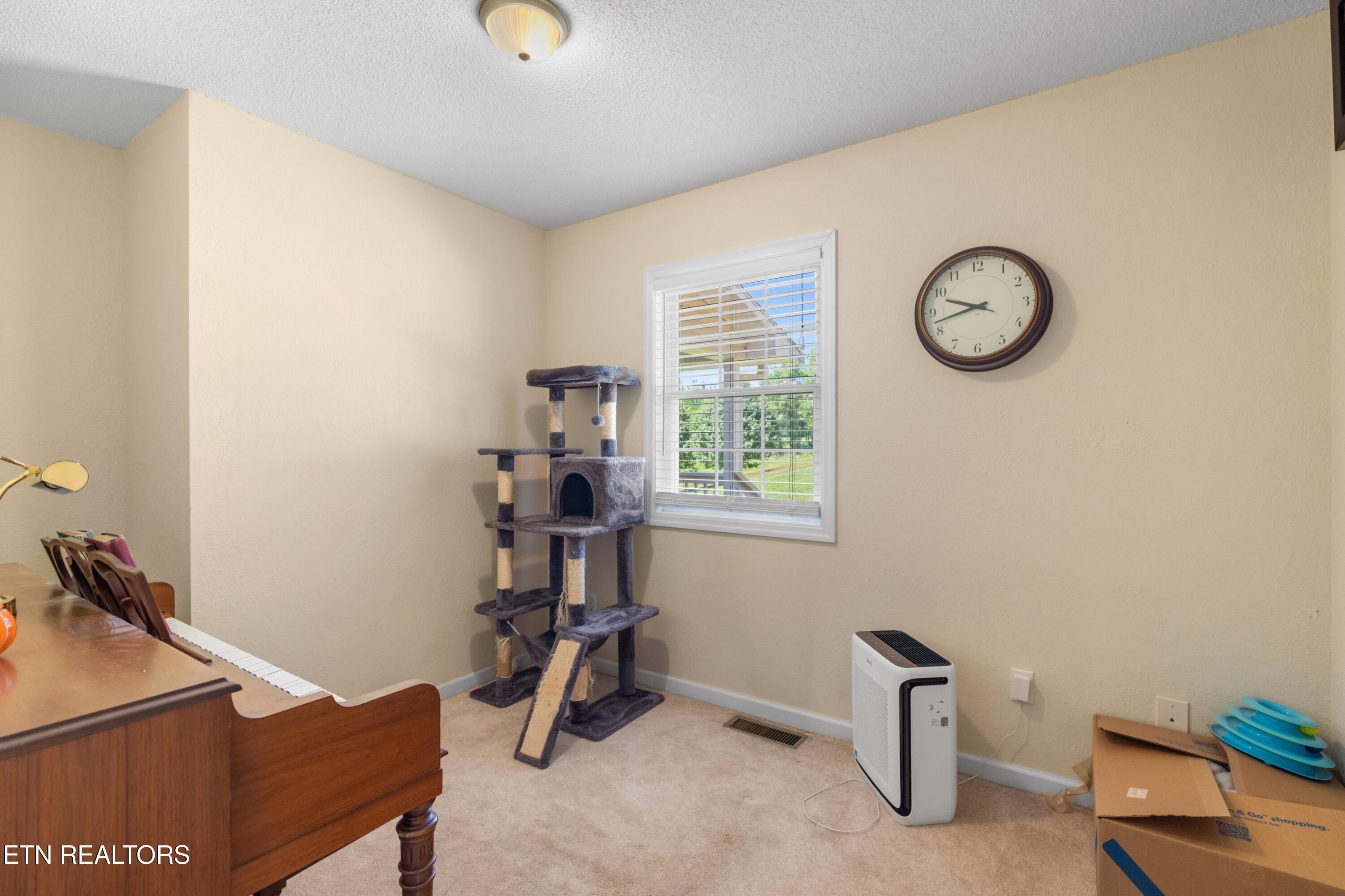 2433 Green Road Cosby TN 37722