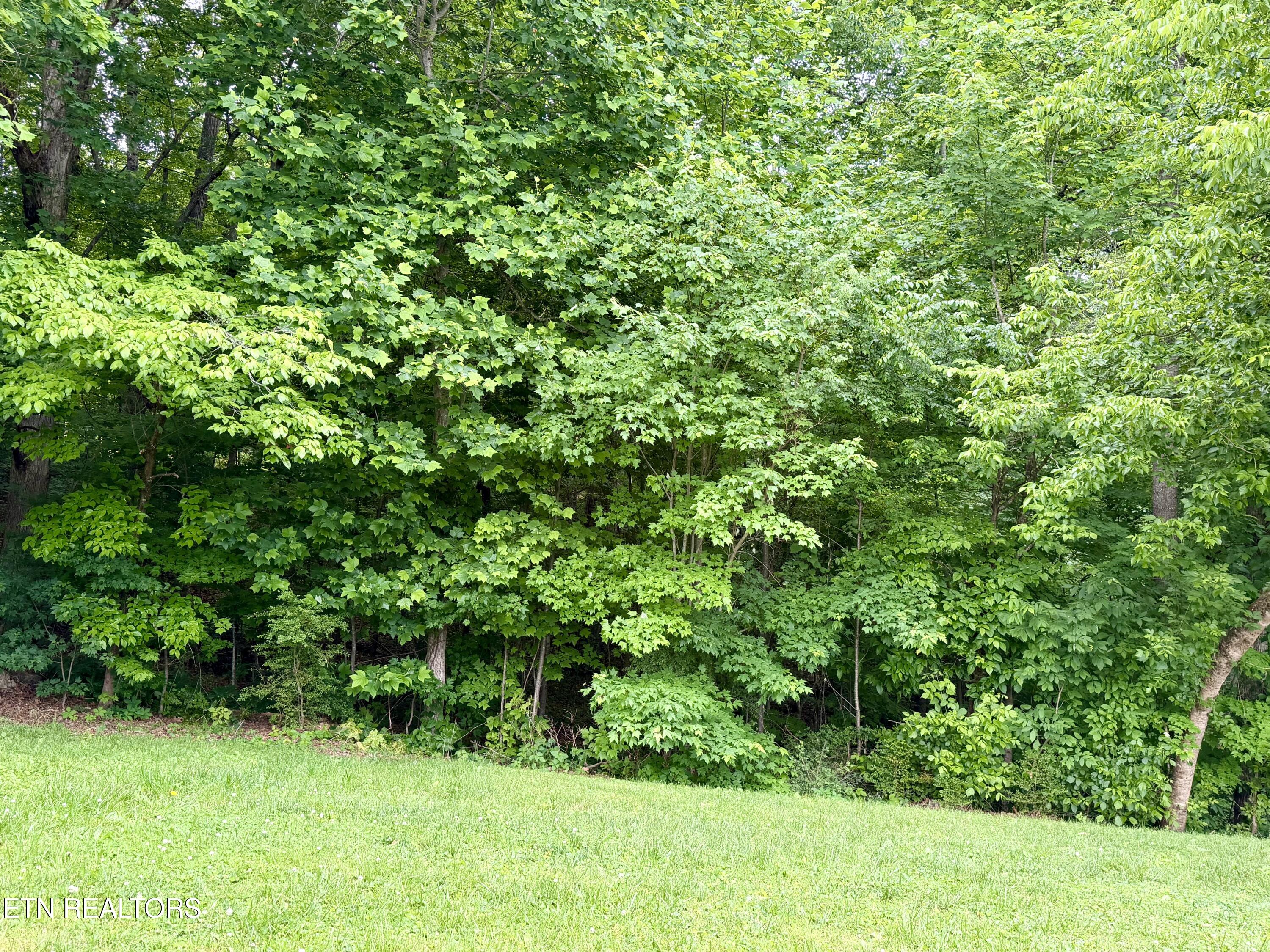688 Stiner Lane Lafollette TN 37766