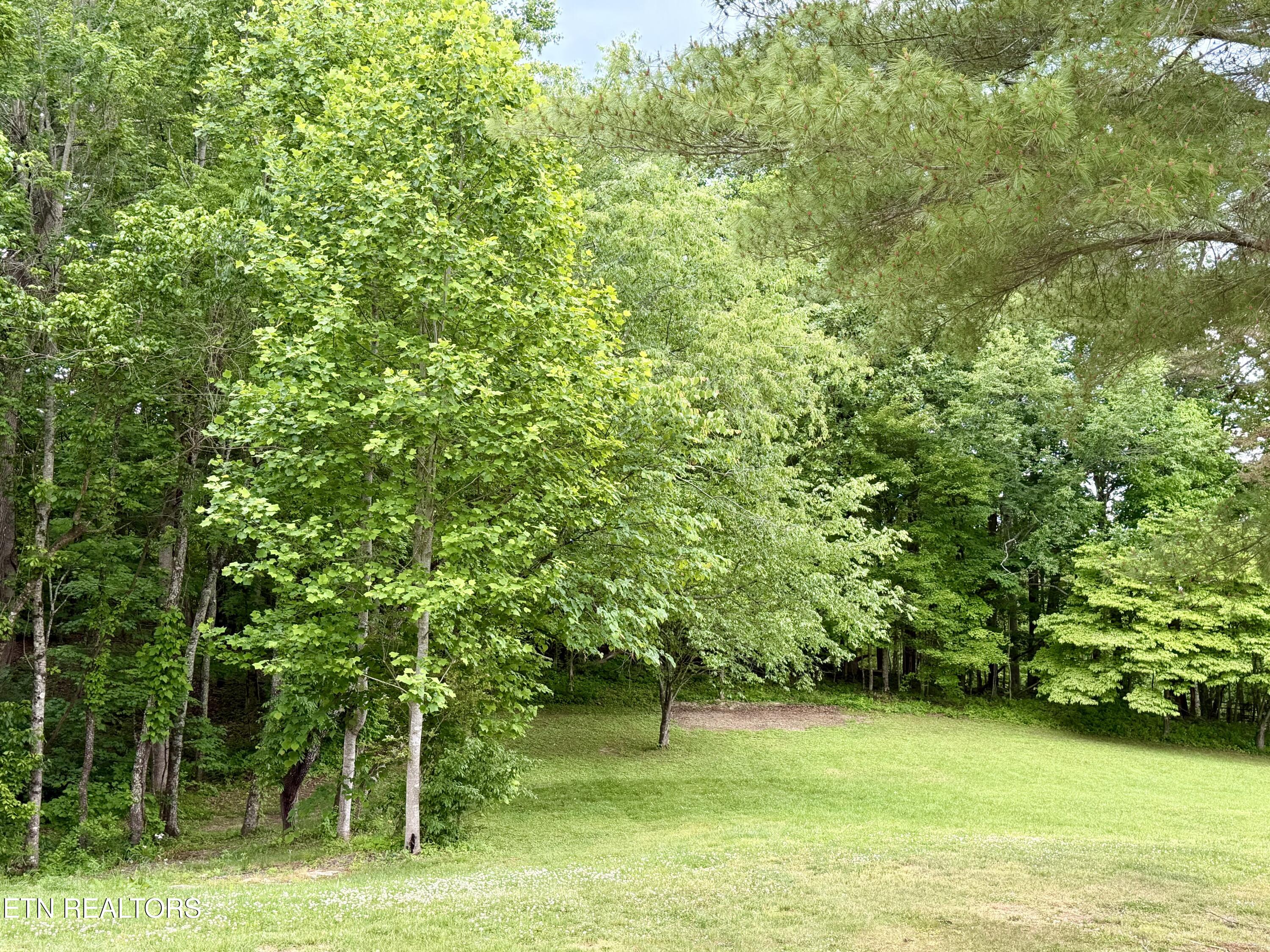 688 Stiner Lane Lafollette TN 37766