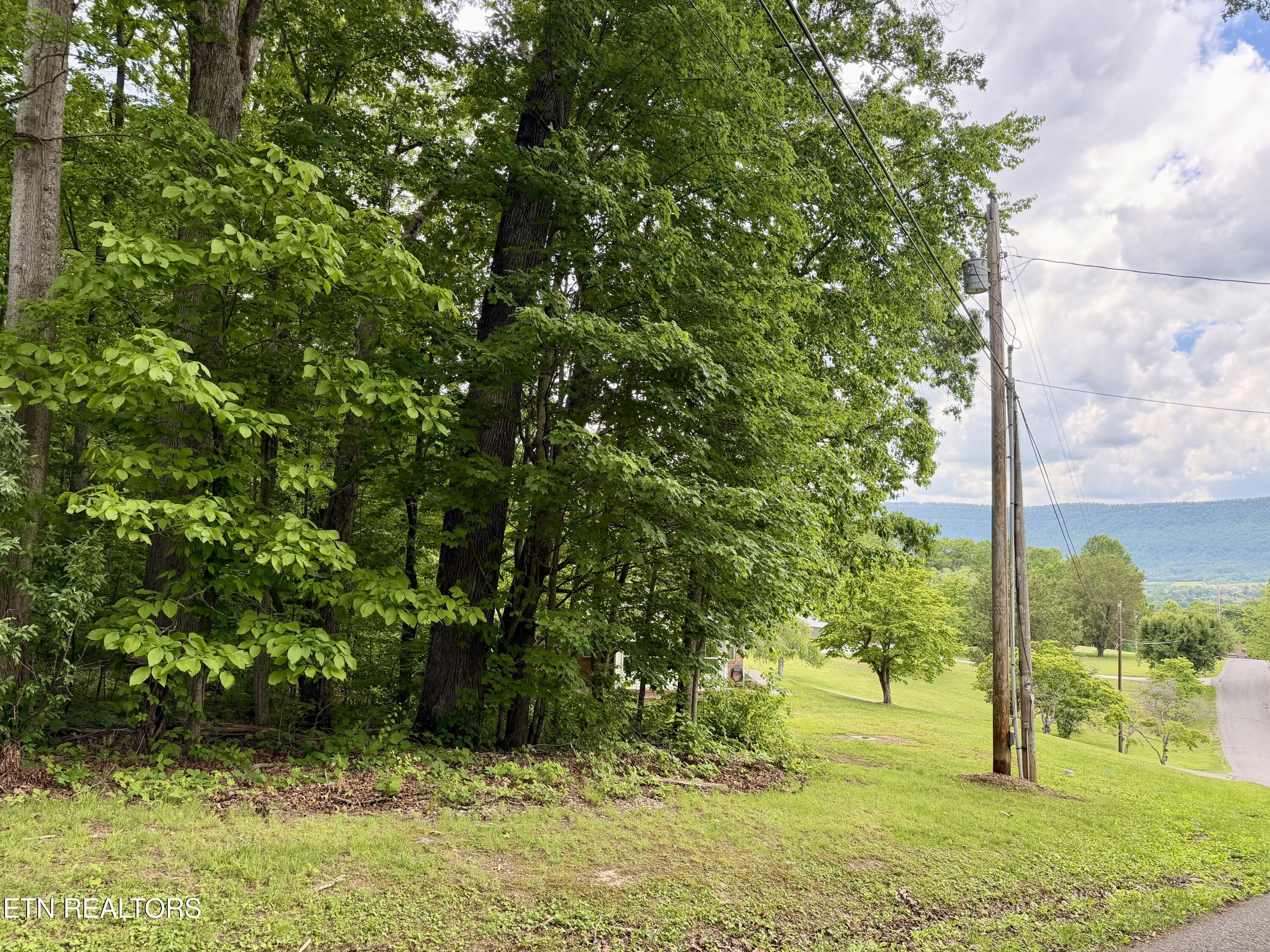 688 Stiner Lane Lafollette TN 37766