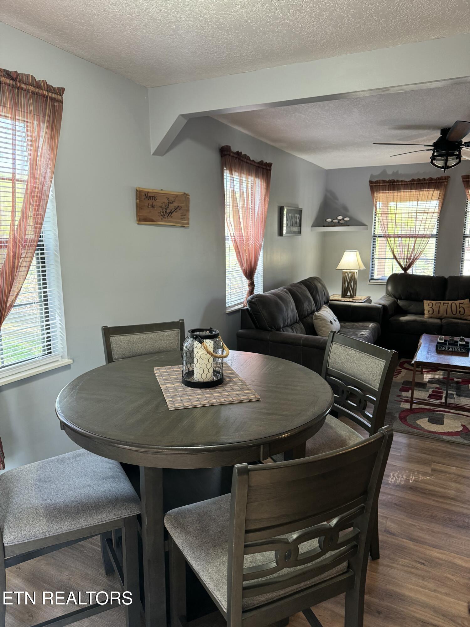247 Lakeview Lane Andersonville TN 37705