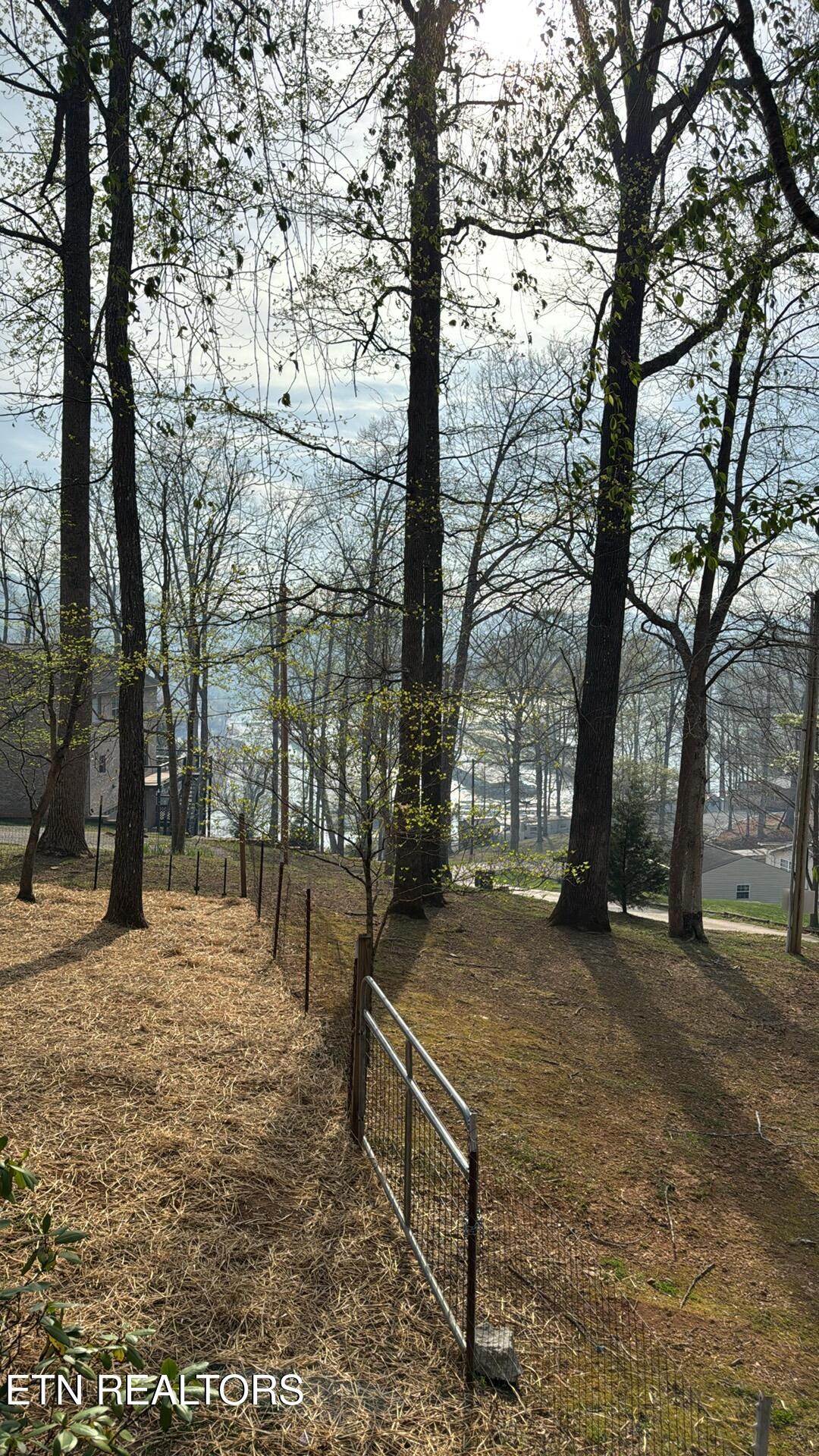 247 Lakeview Lane Andersonville TN 37705