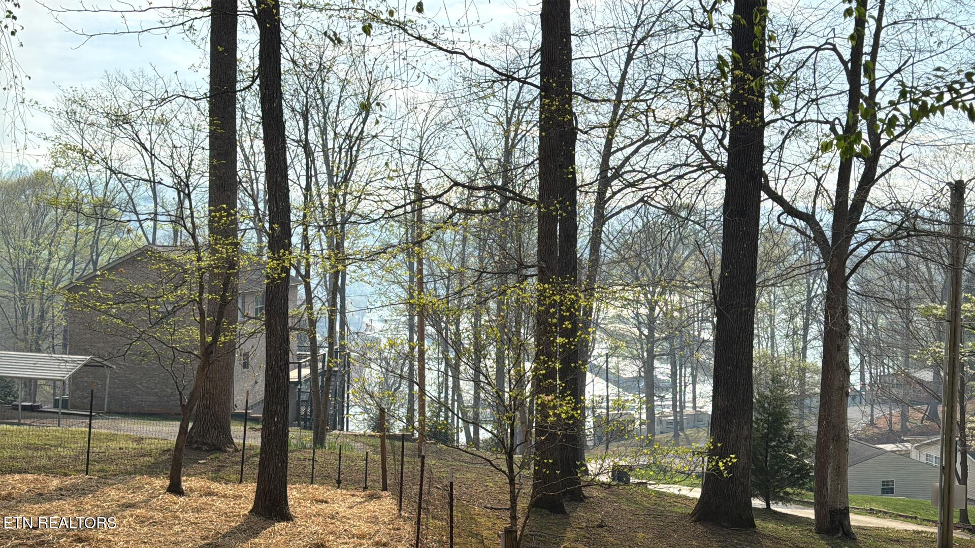 247 Lakeview Lane Andersonville TN 37705