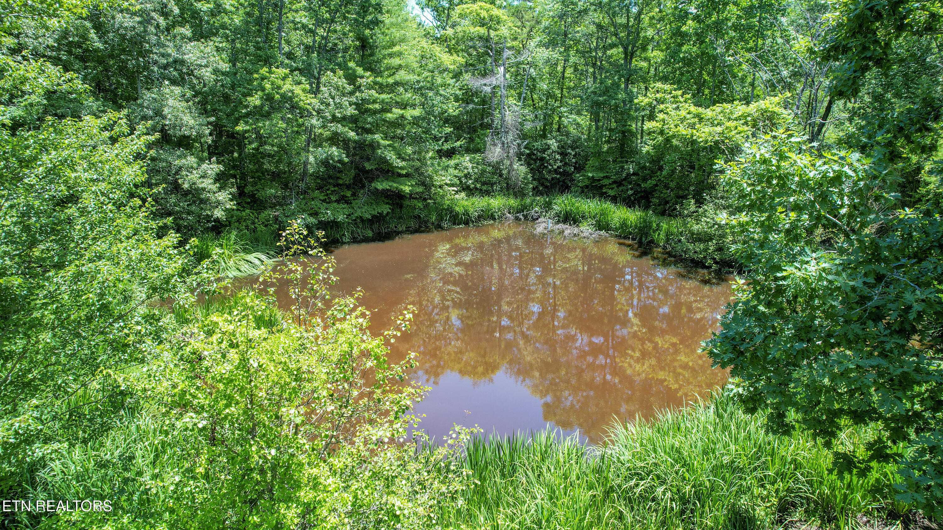 10721 New Highway 68 Tellico Plains TN 37385