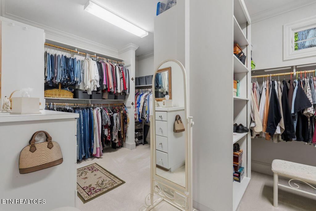 309 Saloli Lane Loudon TN 37774