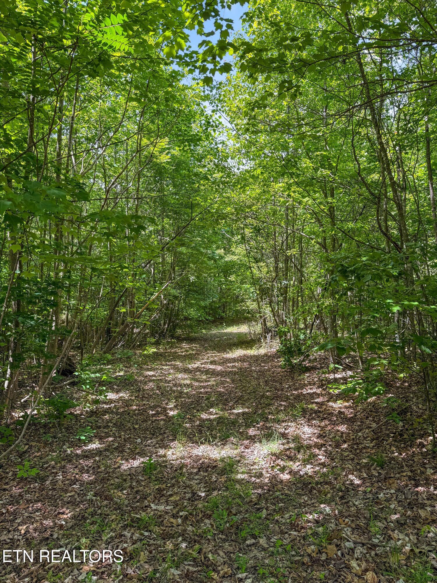529 Travellers Way Lenoir City TN 37771