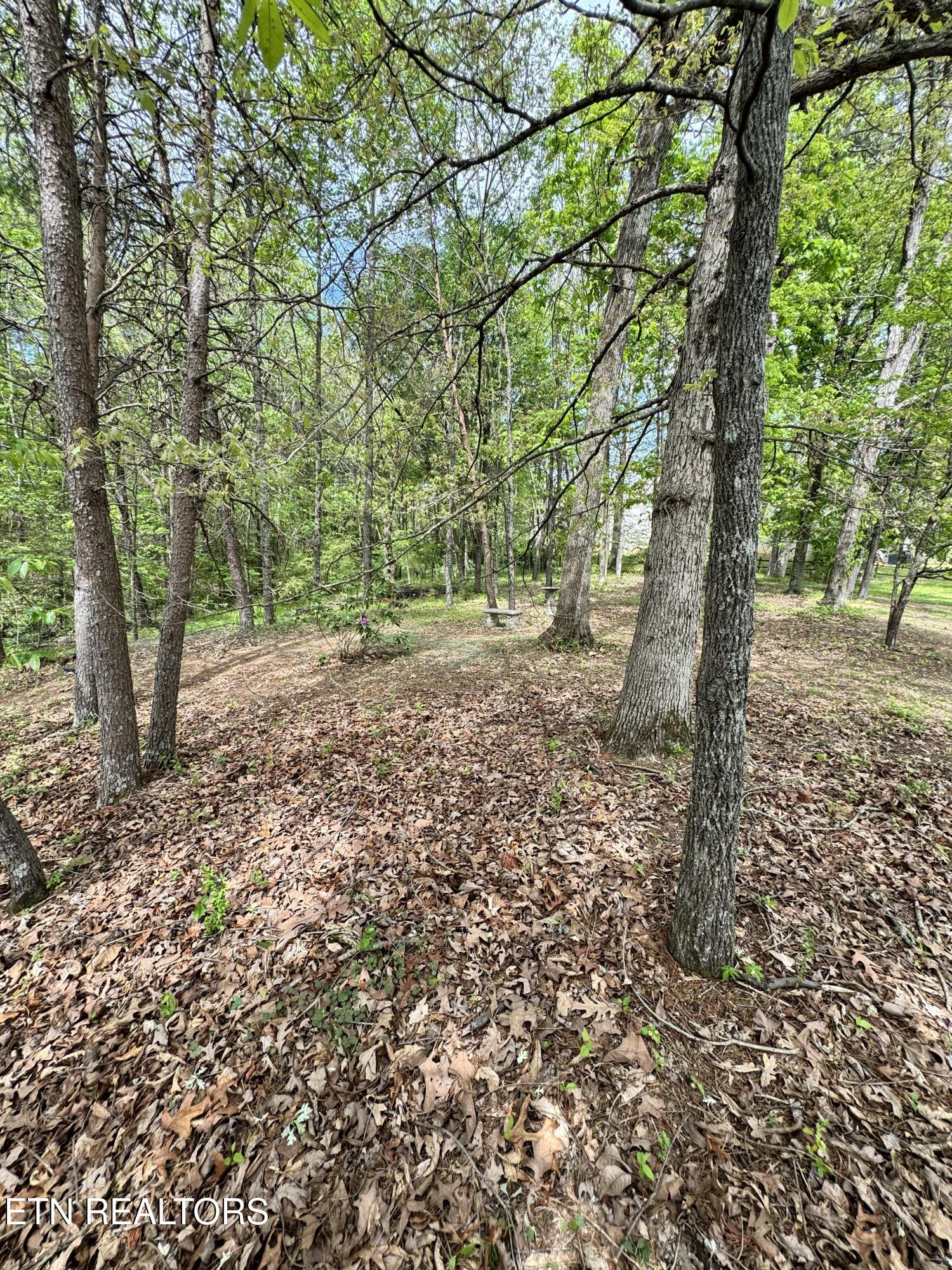 243 Carr Road Seymour TN 37865