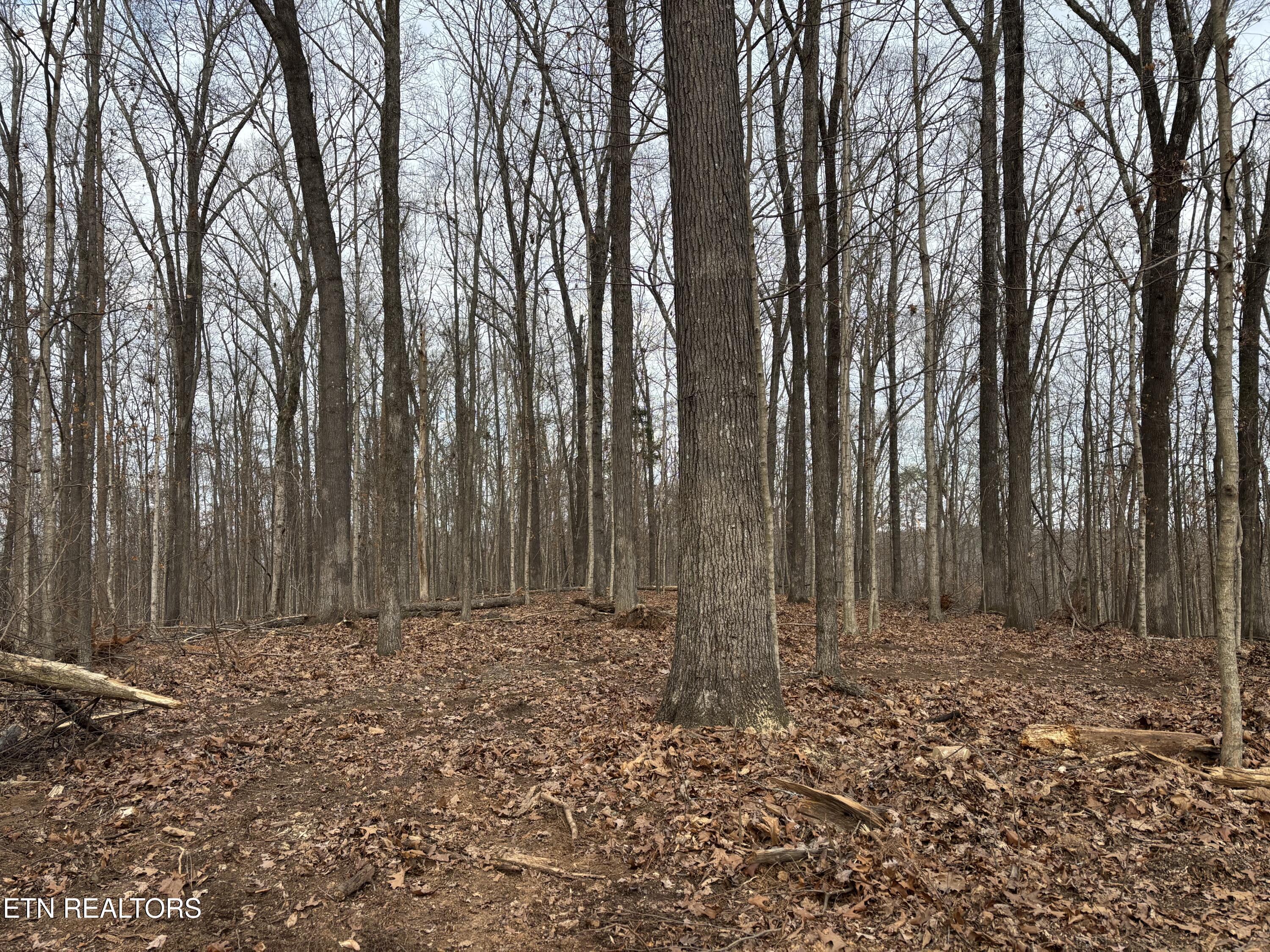 361/365 County Road 38 Riceville TN 37370