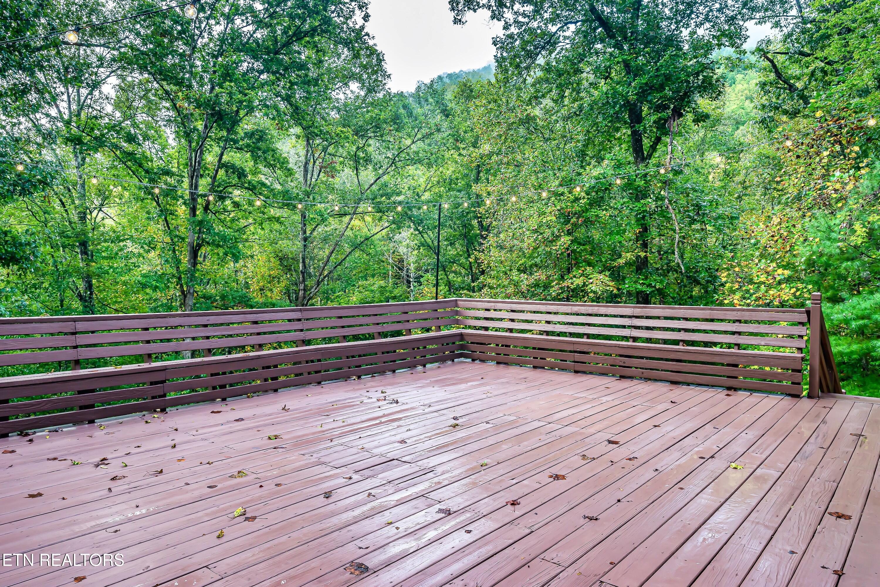 4410 Whetstone Road Sevierville TN 37862