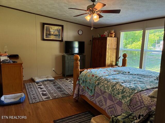 4430 Douglas Dam Road Kodak TN 37764