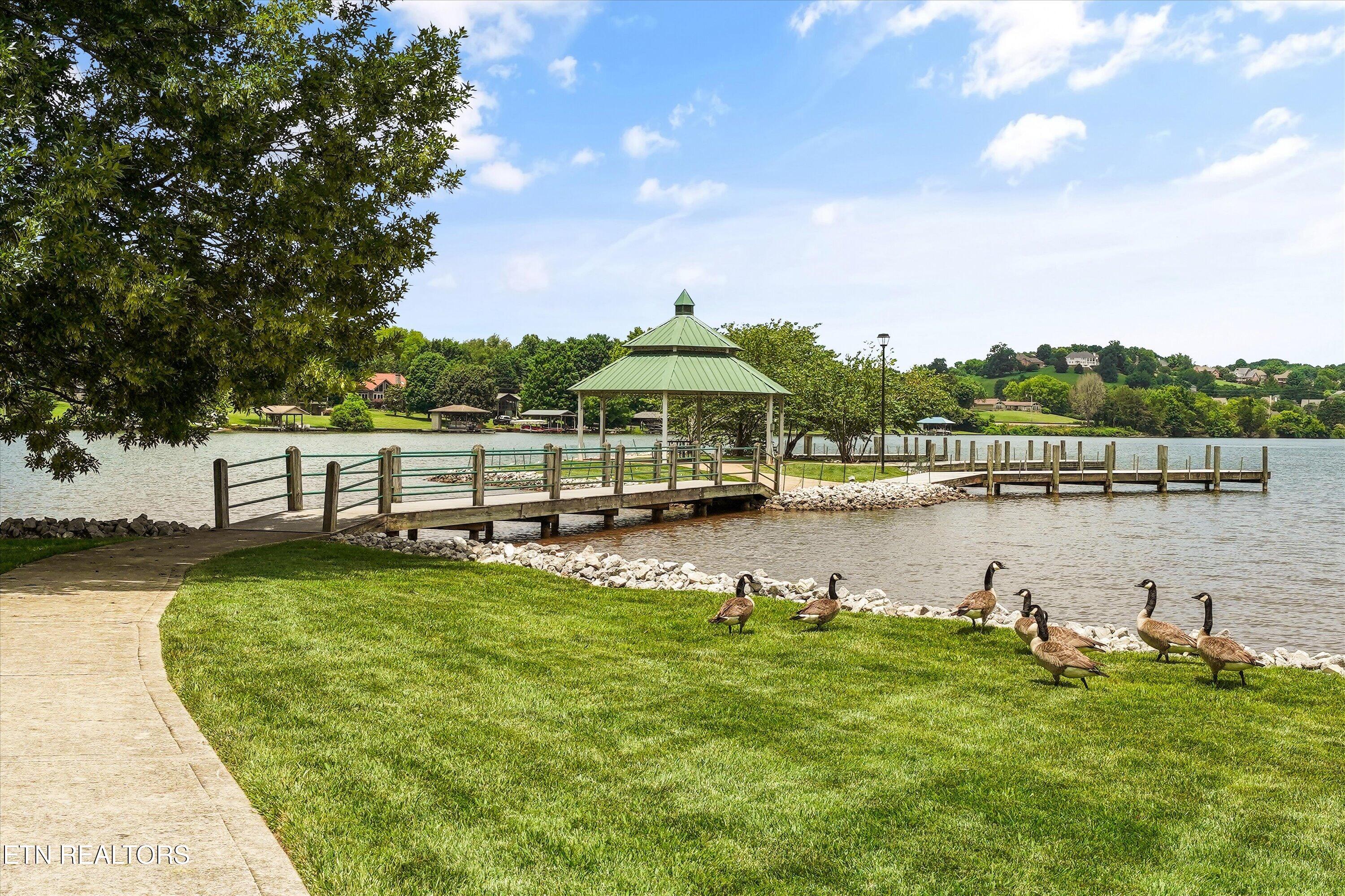 12023 Mallard Bay Drive Knoxville TN 37922