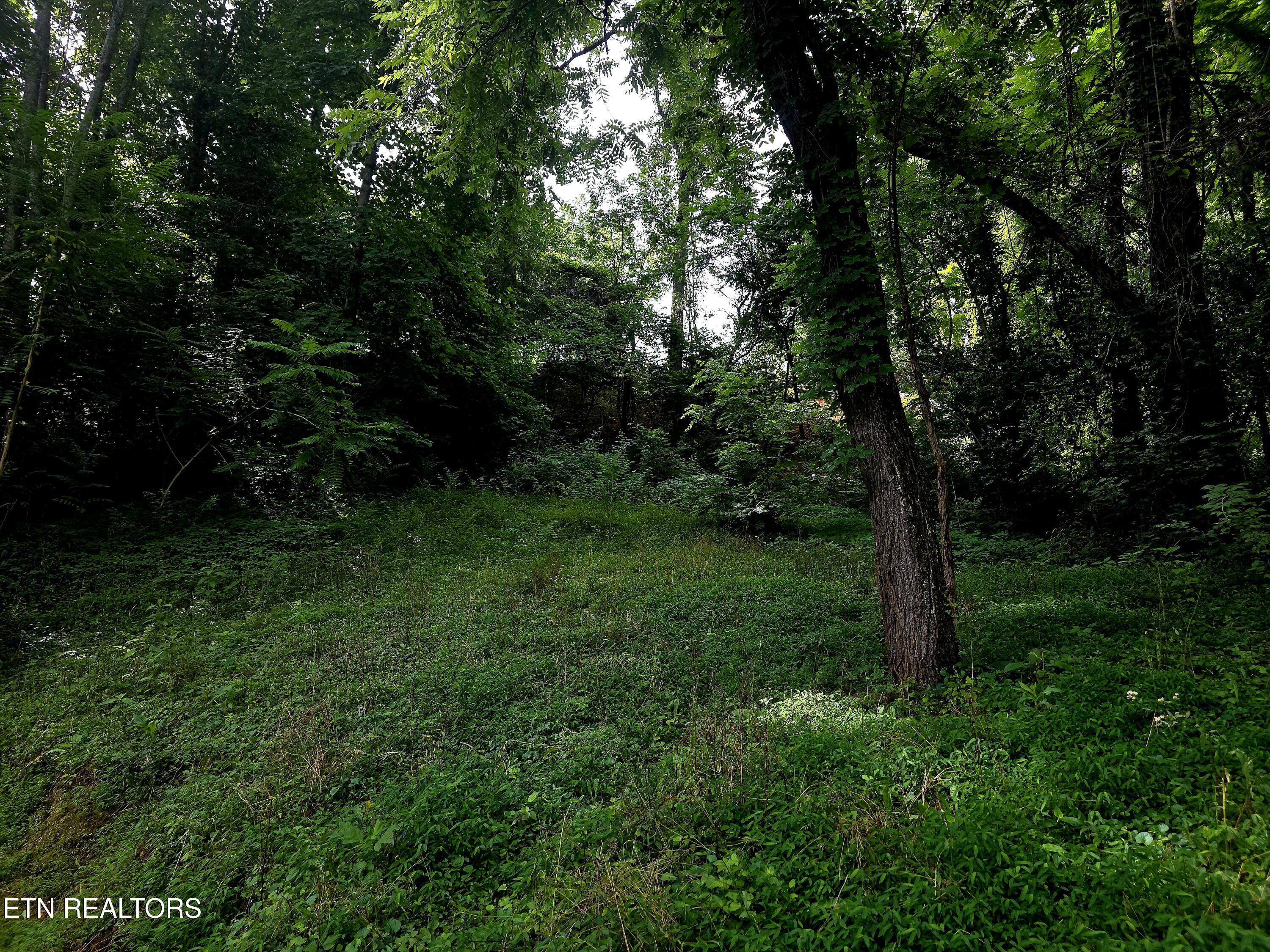 2074 Long Hollow Road Lafollette TN 37766