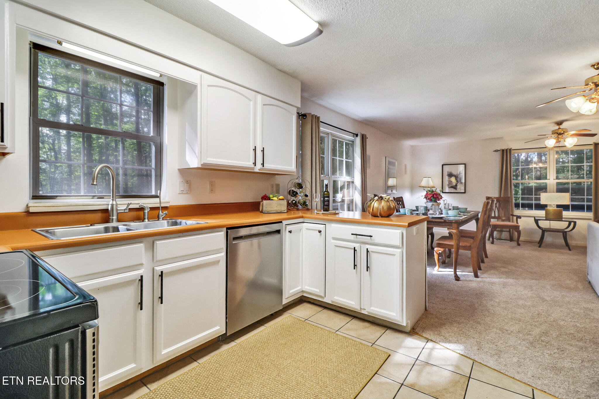3094 Renegade Mountain Parkway Crab Orchard TN 37723
