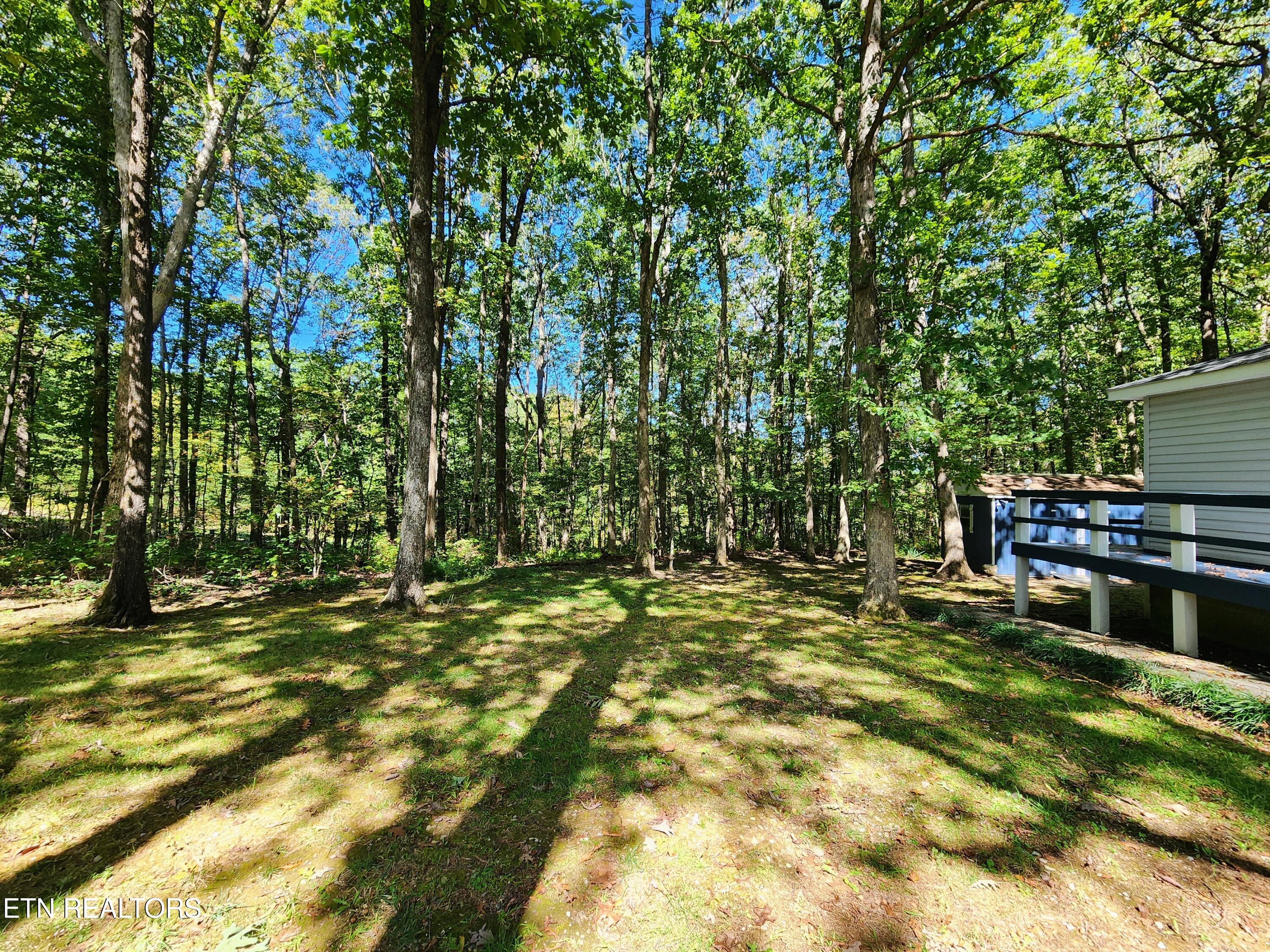 3094 Renegade Mountain Parkway Crab Orchard TN 37723
