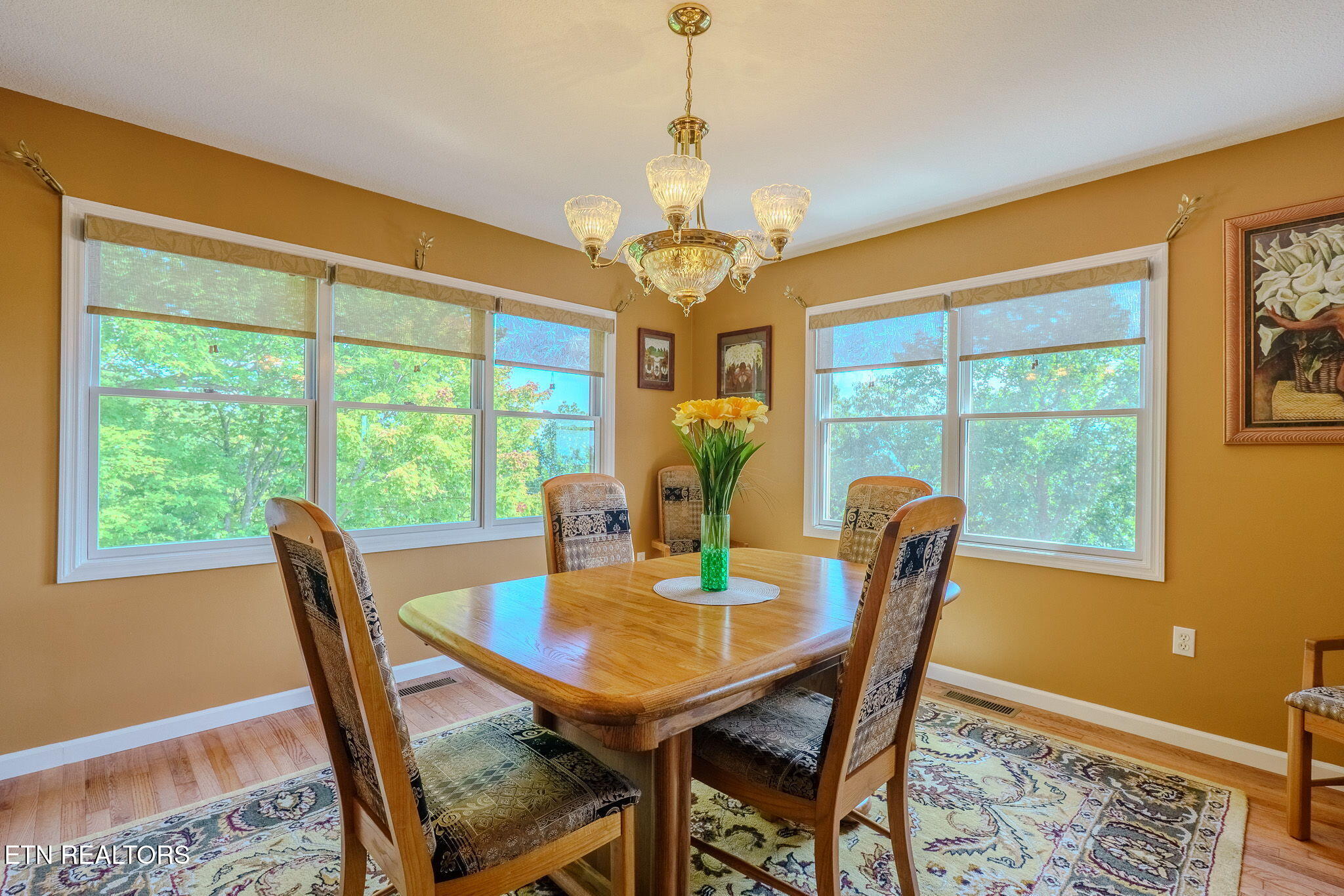 954 Pawnee Court Sevierville TN 37876