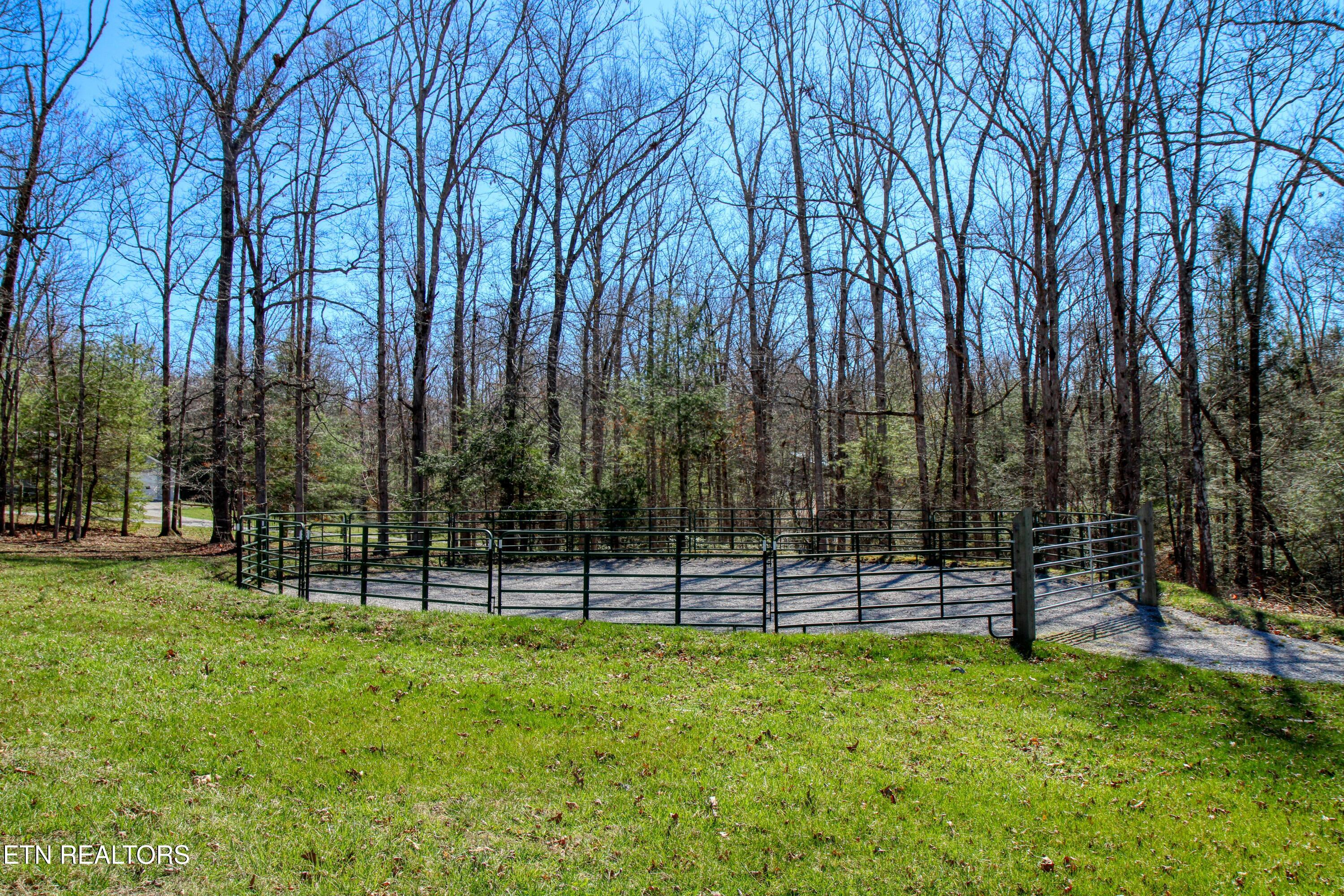 145 Horse Haven Road Allardt TN 38504