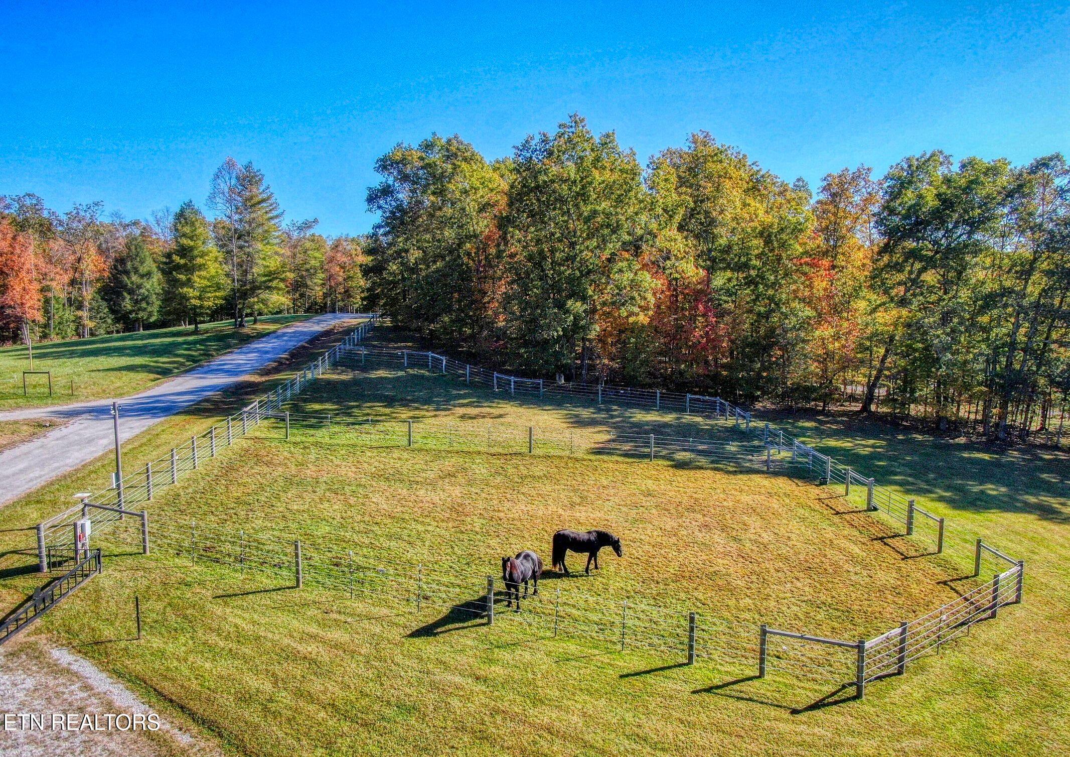 145 Horse Haven Road Allardt TN 38504