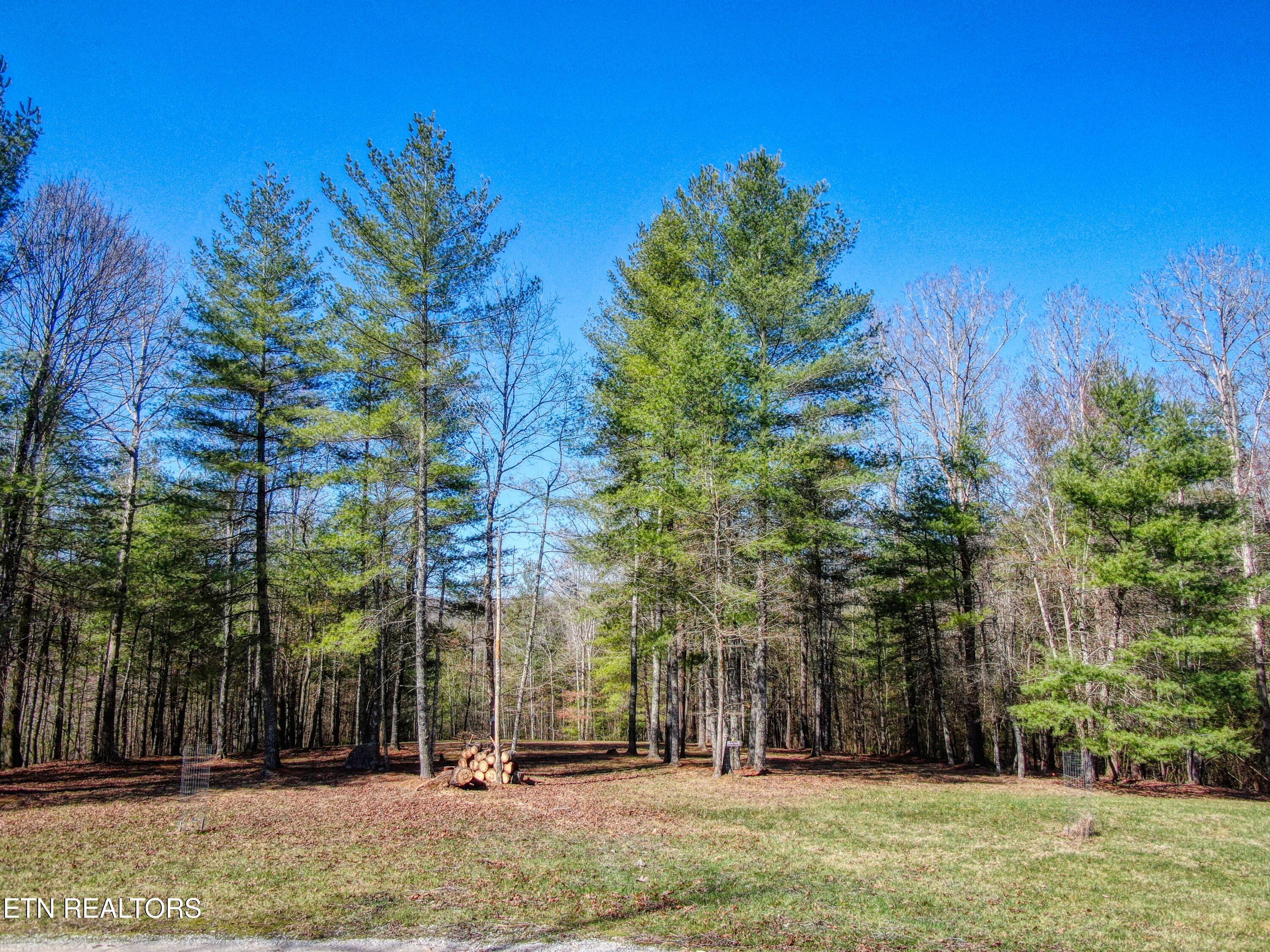 145 Horse Haven Road Allardt TN 38504